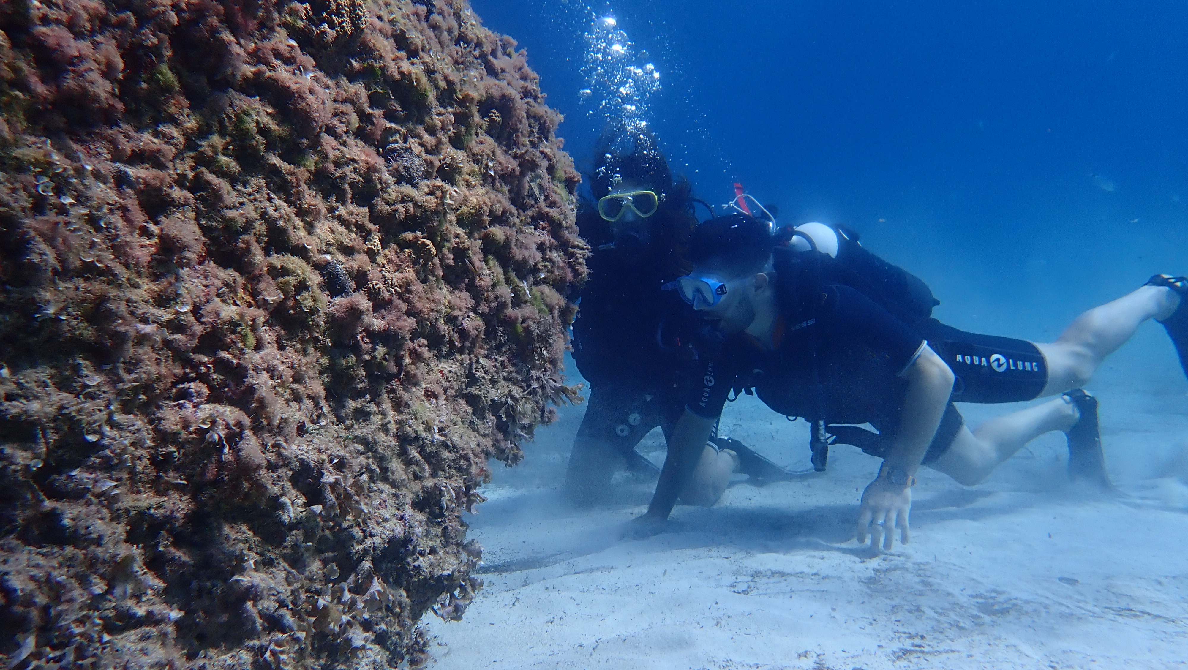 Freediving in Portocolom photo 4