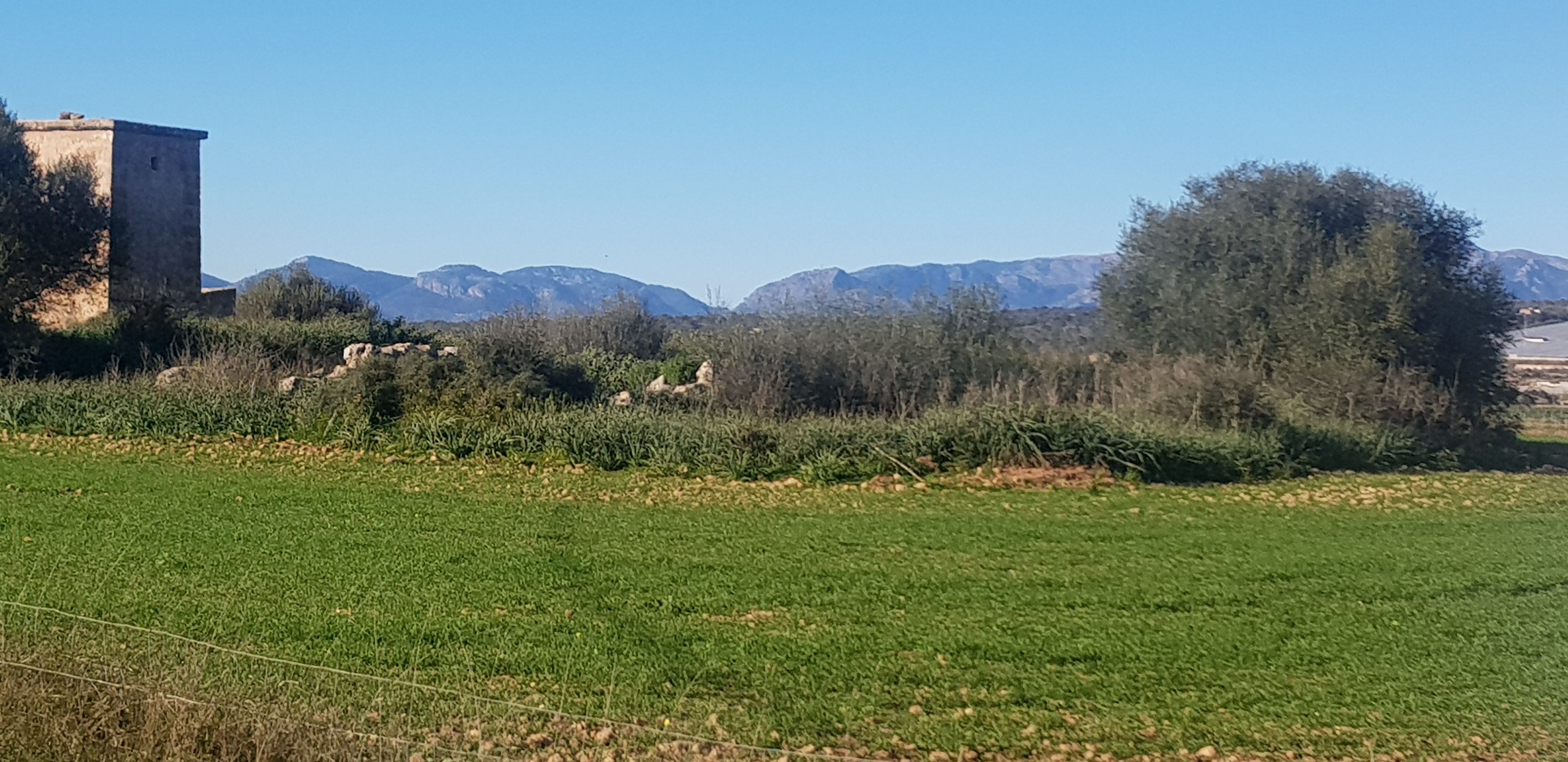 Hiking Tours in Cala Vinyes photo 3