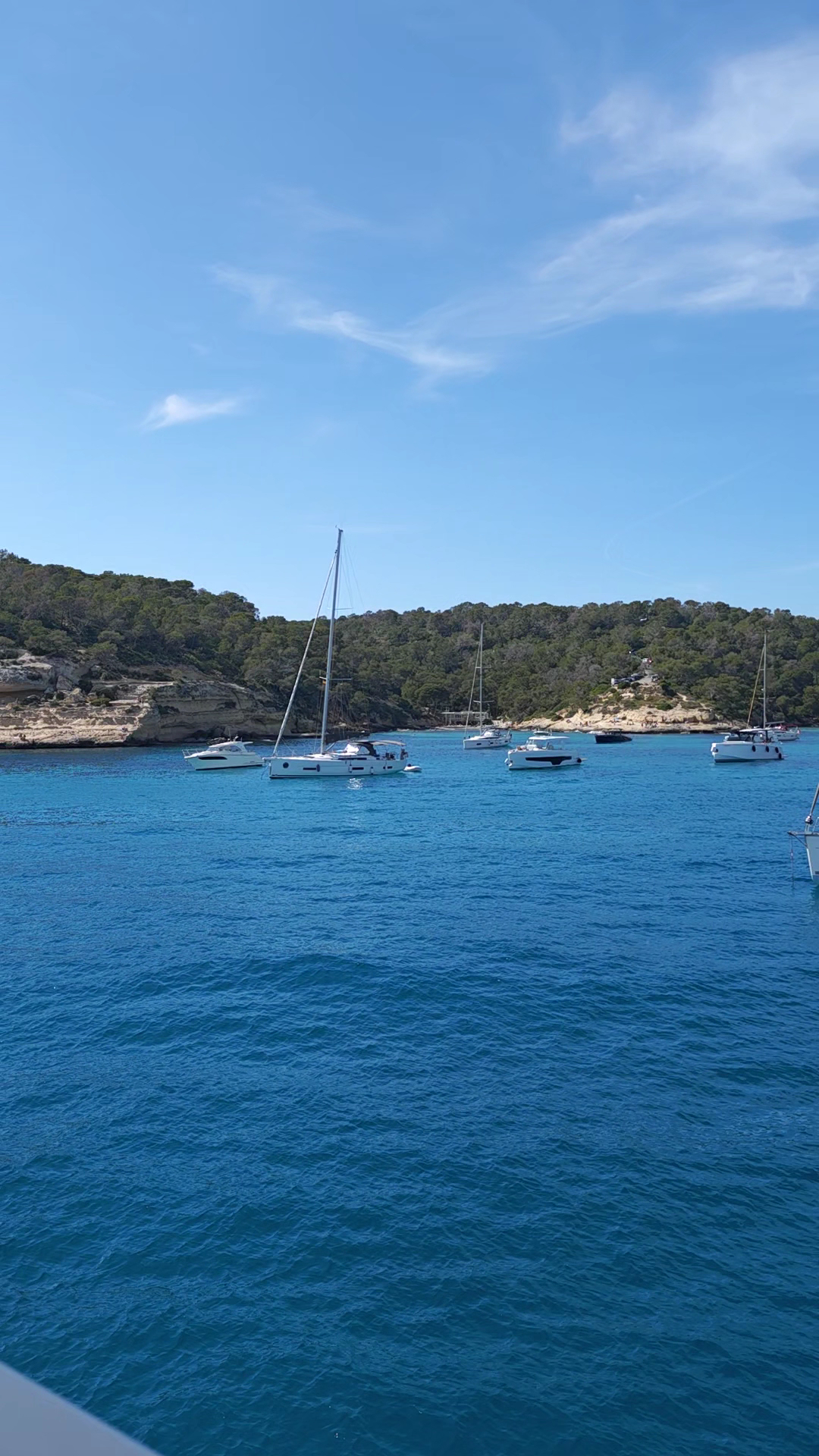 Sailing Excursion in Palma Nova photo 2
