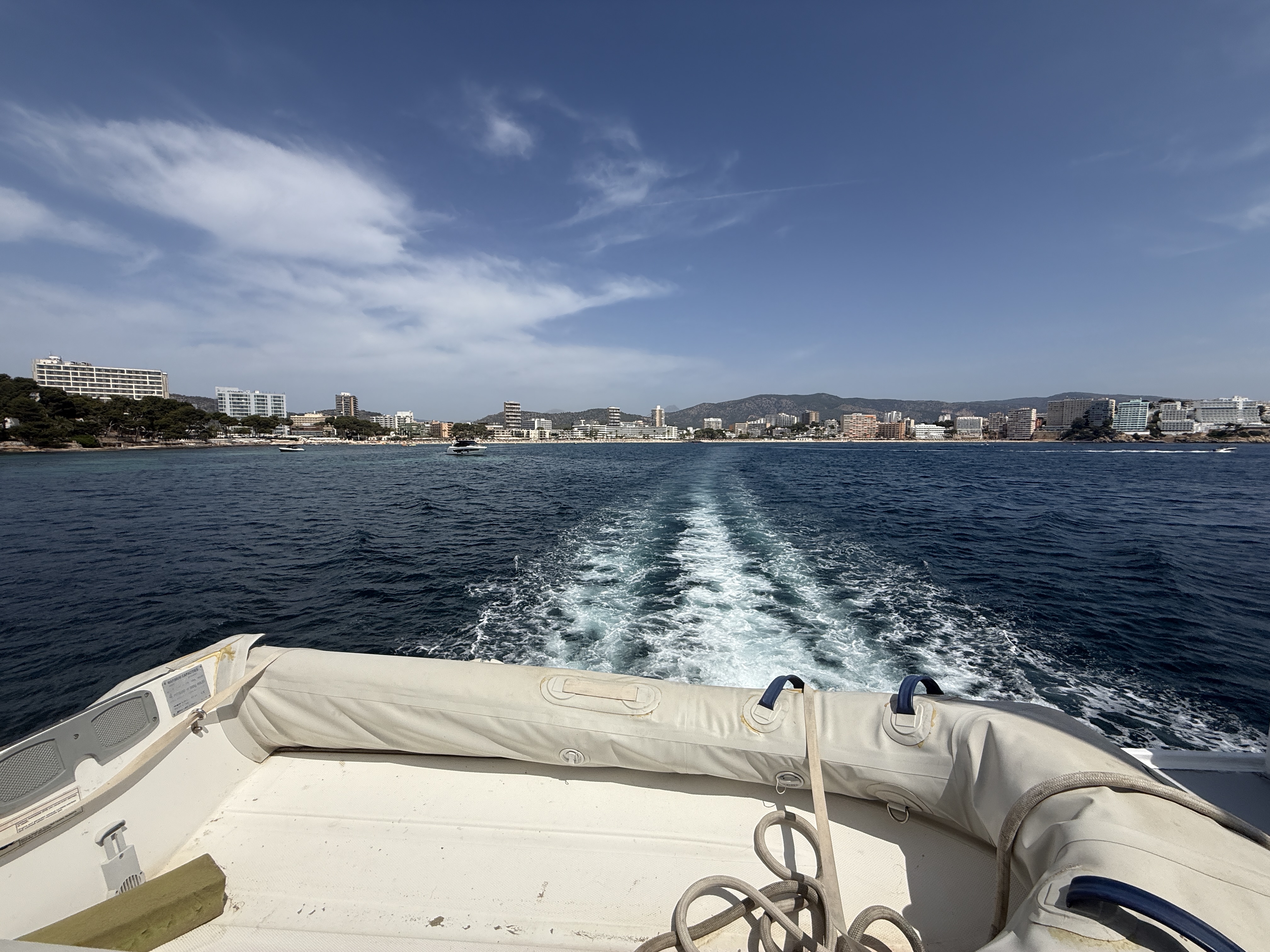 Whale Watching in Palma Nova photo 2