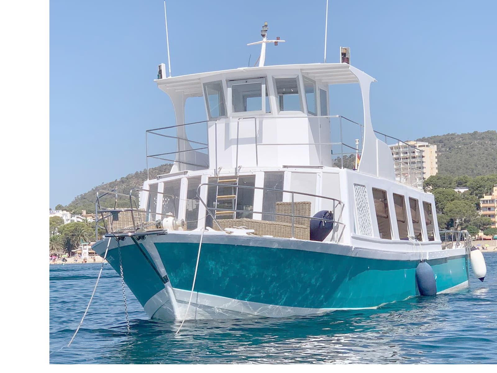 Whale Watching in Palma Nova photo 3