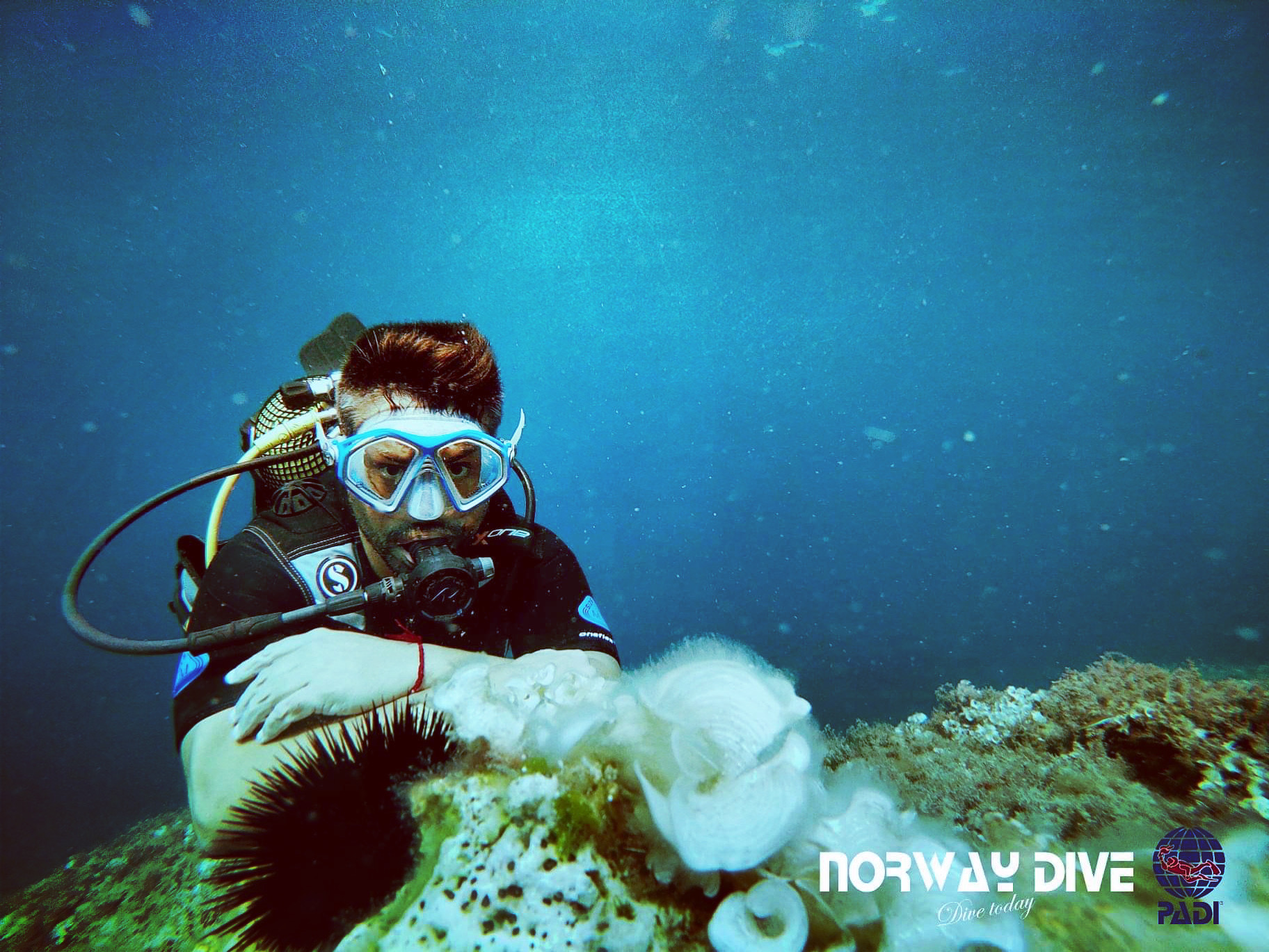 Scuba Courses in Cala Major photo 4