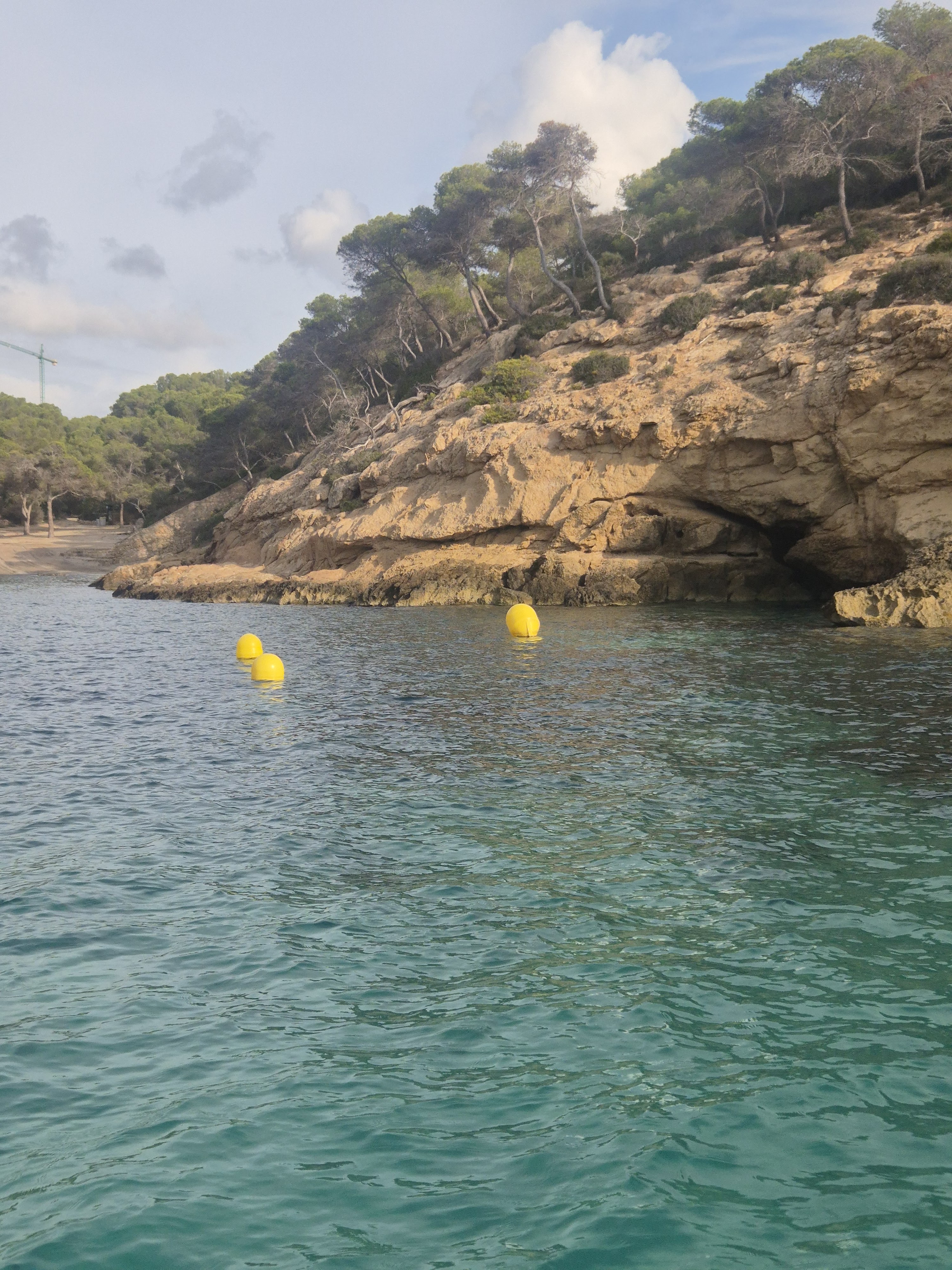 Fishing Charter in Palma Nova photo 5