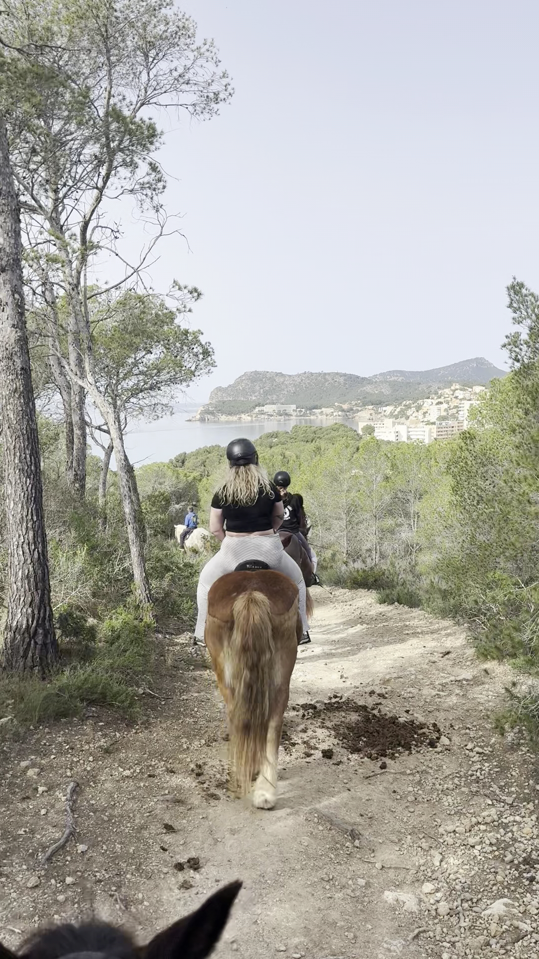 Horseback Riding in Illetes photo 3
