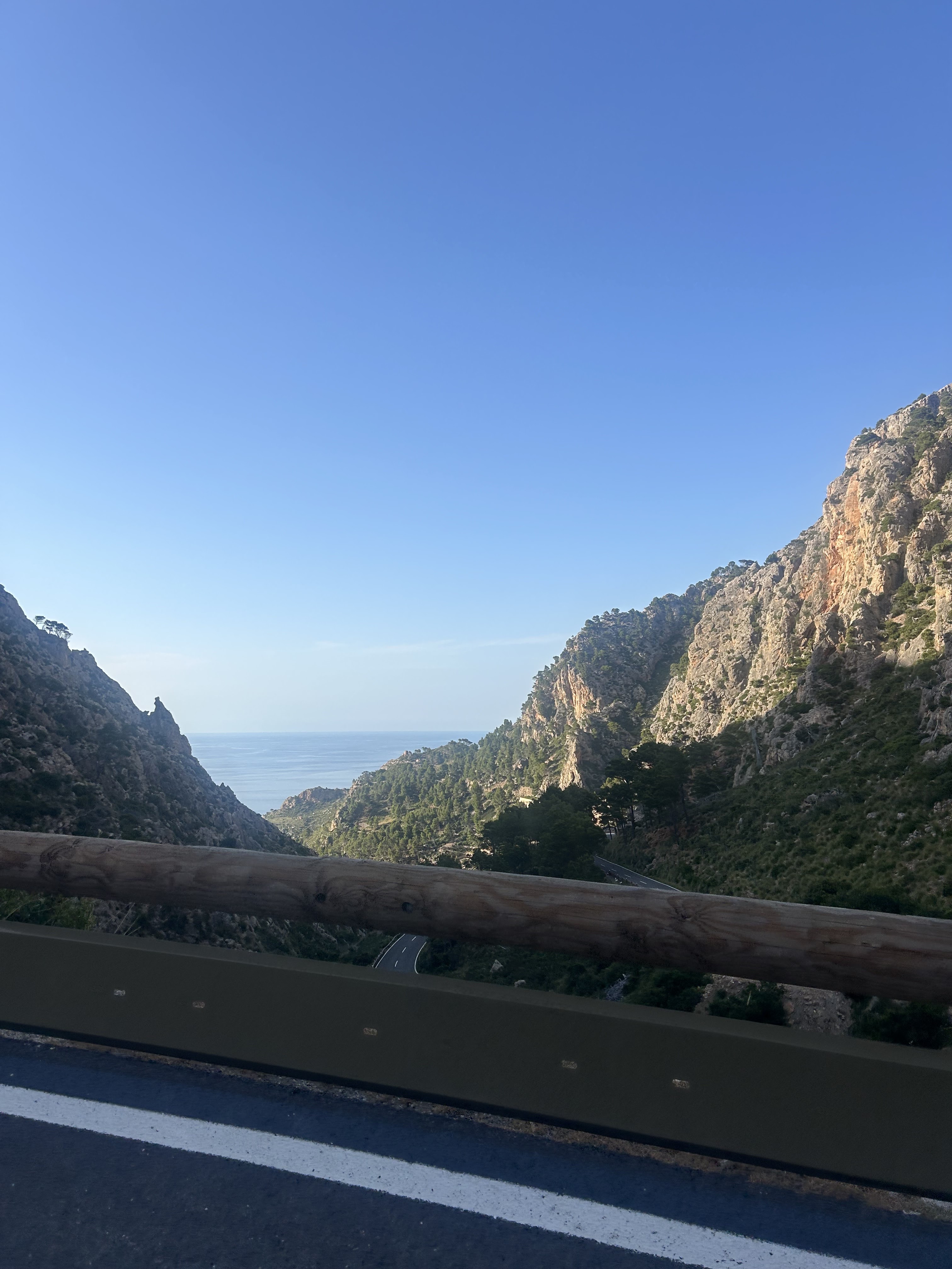 Quad & Buggy Tours in Palma Nova photo 2