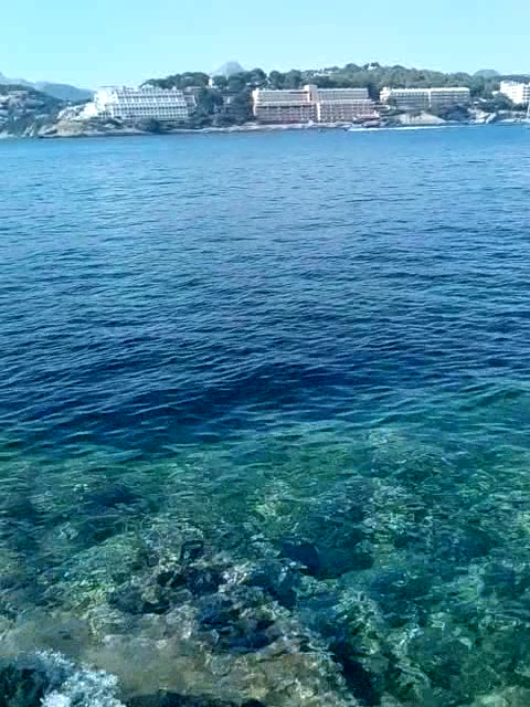 Jetski Rental in Deià photo 3