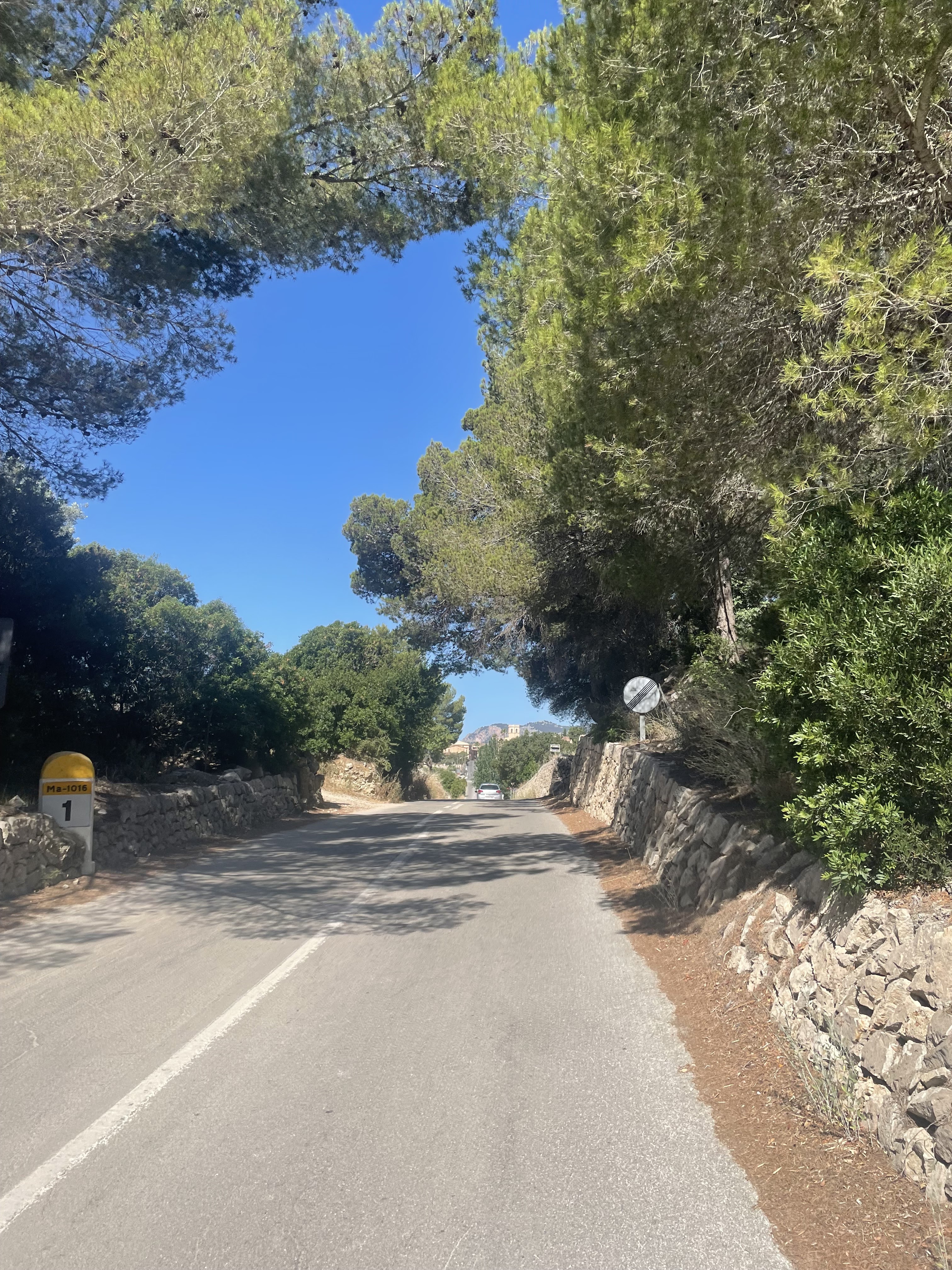 Mountain Bike Rental in Cala Major photo 2