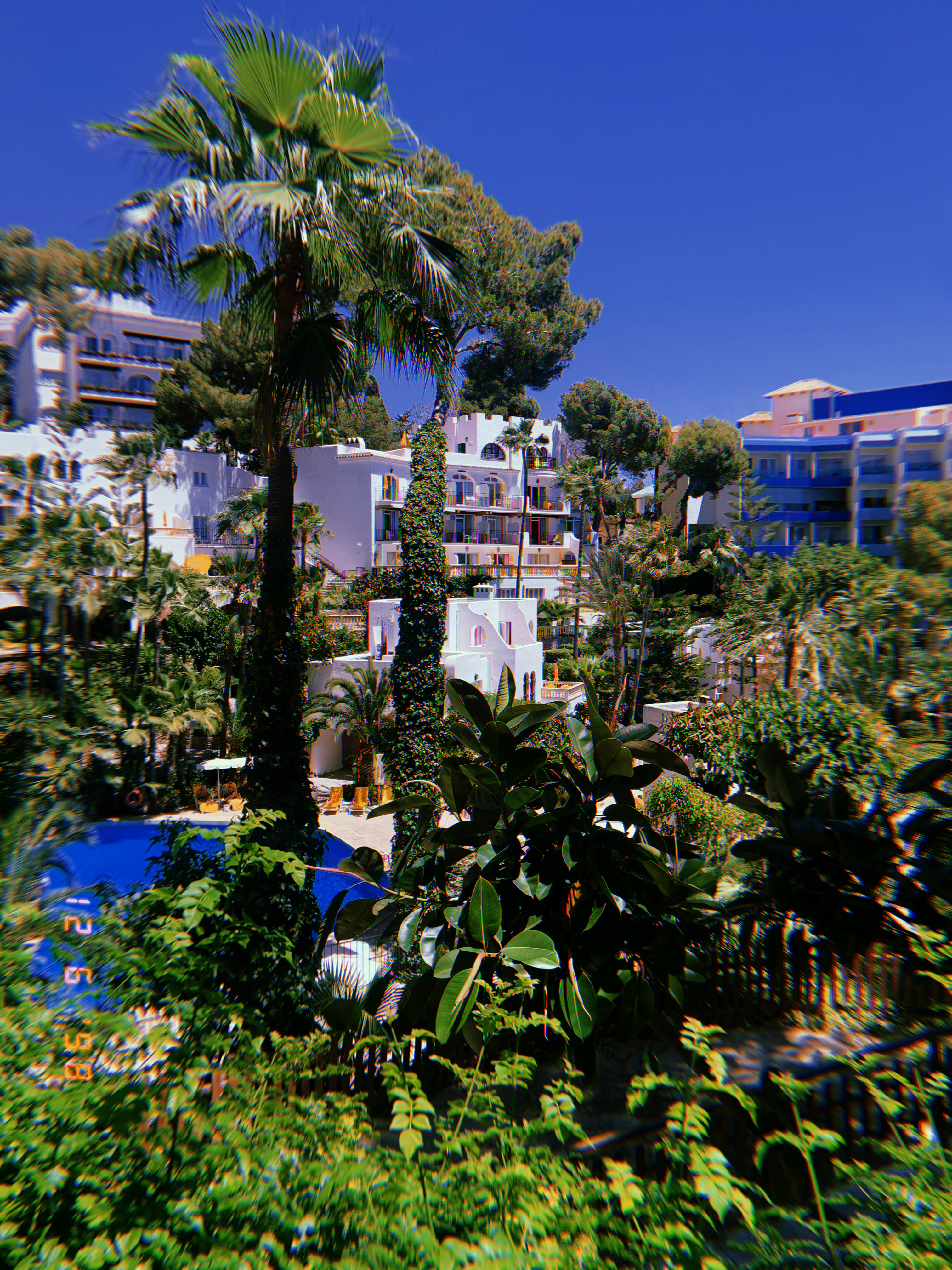Wellness Retreat in Illetes photo 2