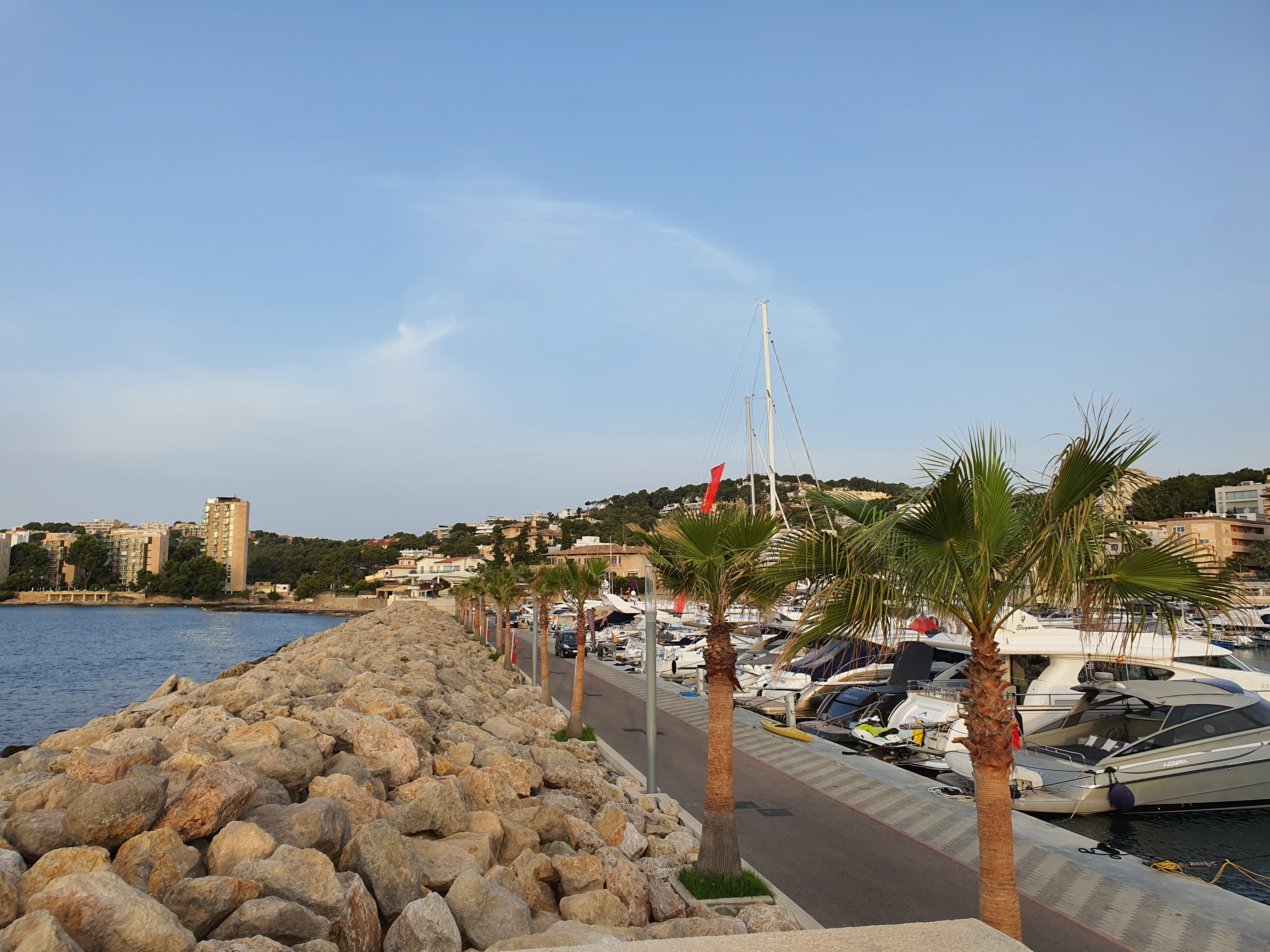 Windsurfing in Palma Nova photo 4