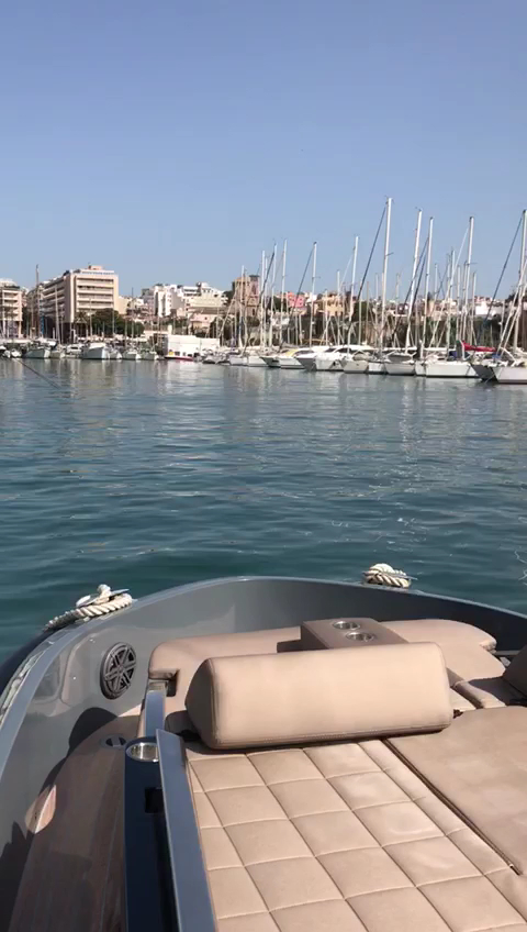 Boat Party in Palma Nova photo 3