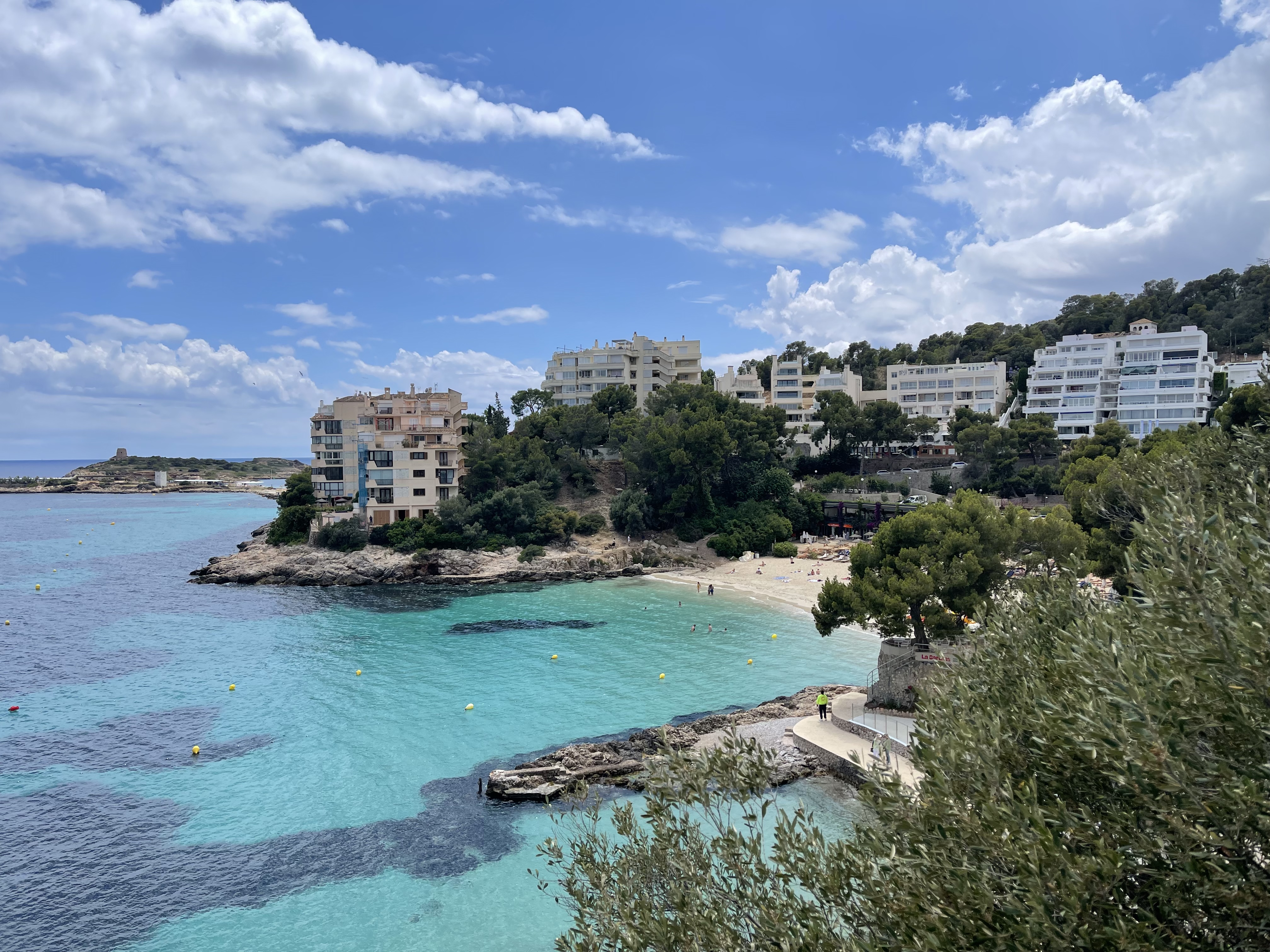 Snorkeling in Illetes