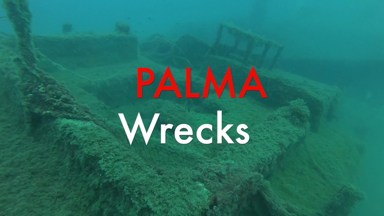 Freediving in Magaluf photo 2