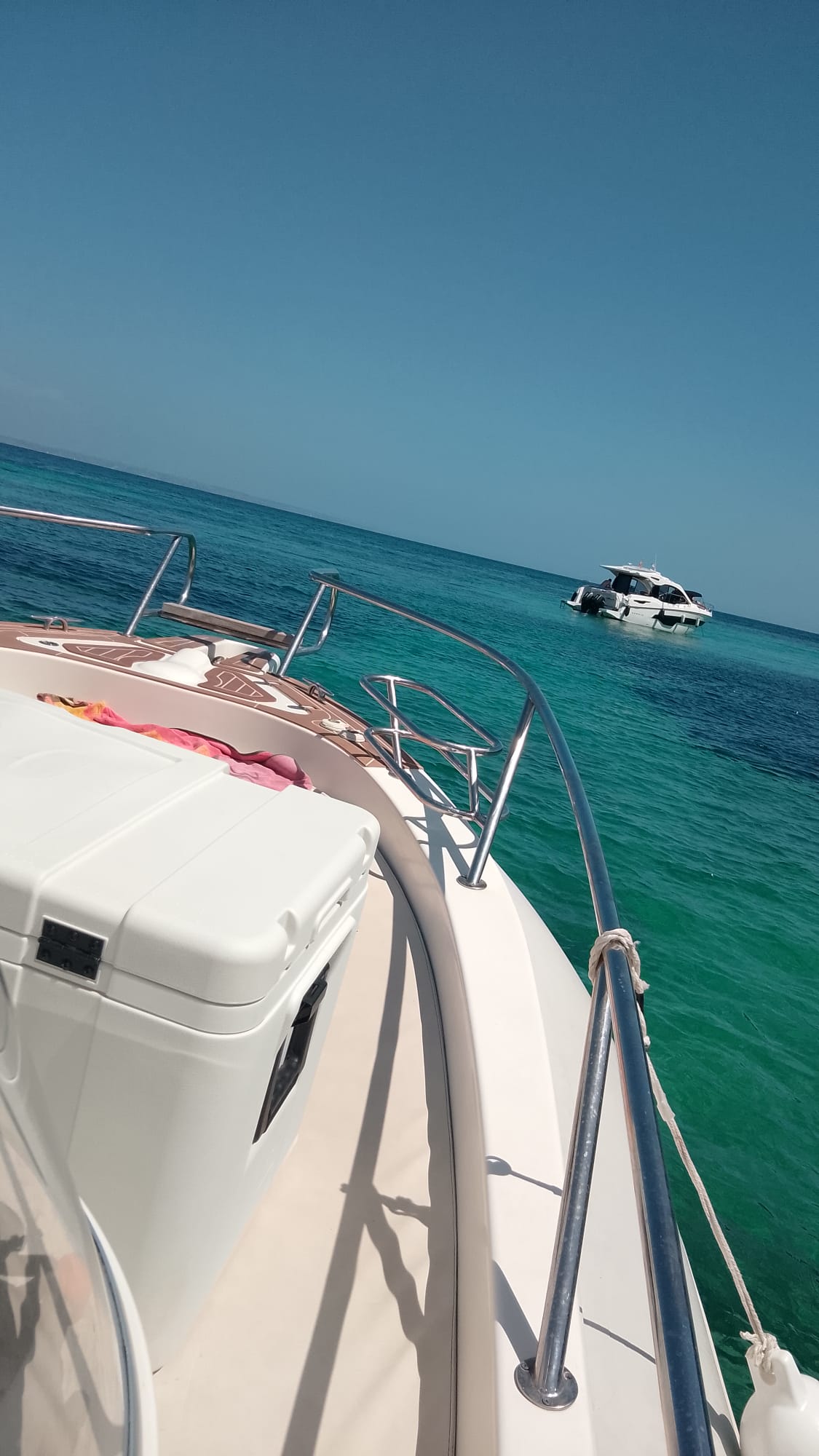 Sunset Cruise in Portals Nous photo 2