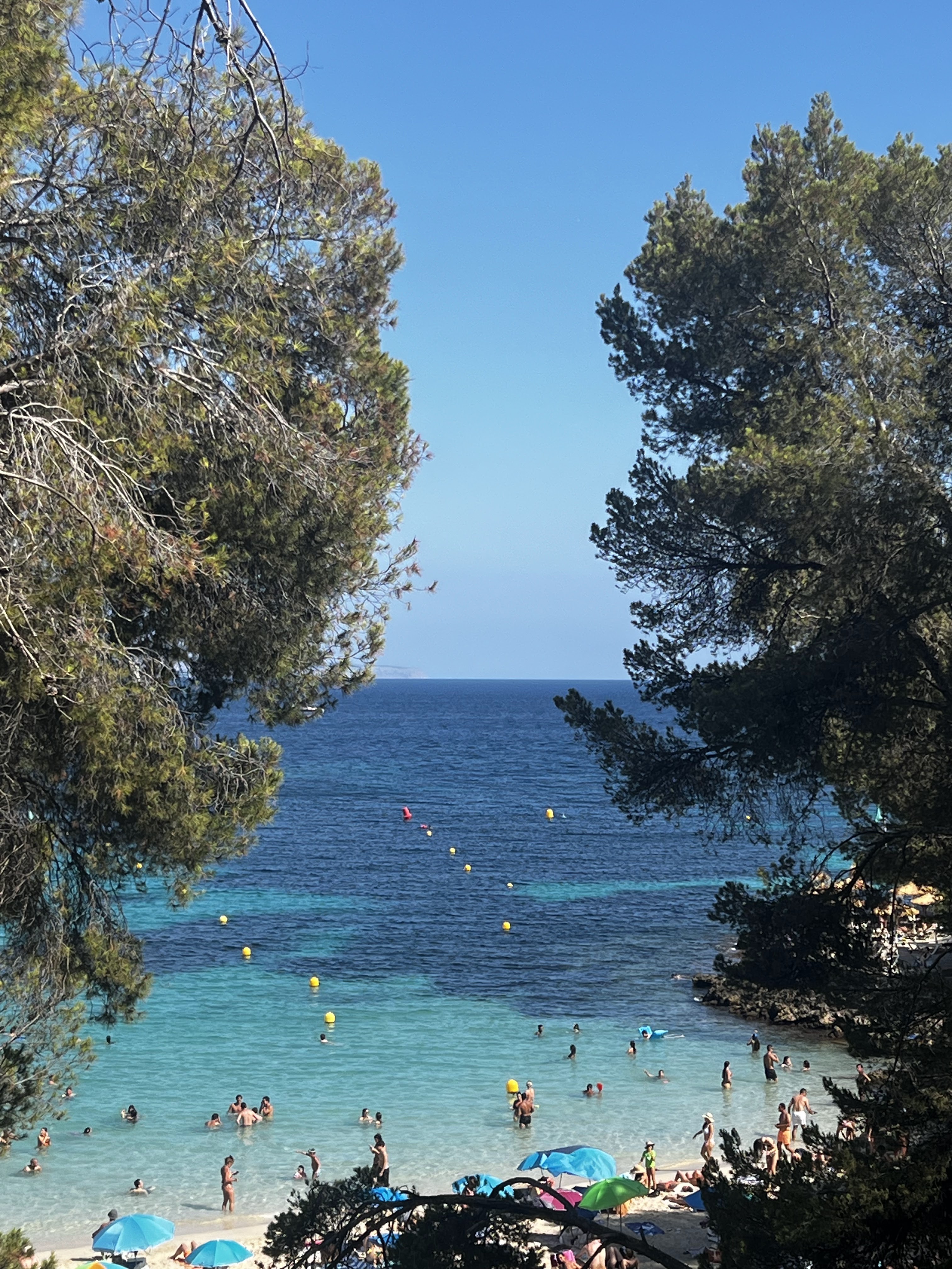 Freediving in Illetes photo 5