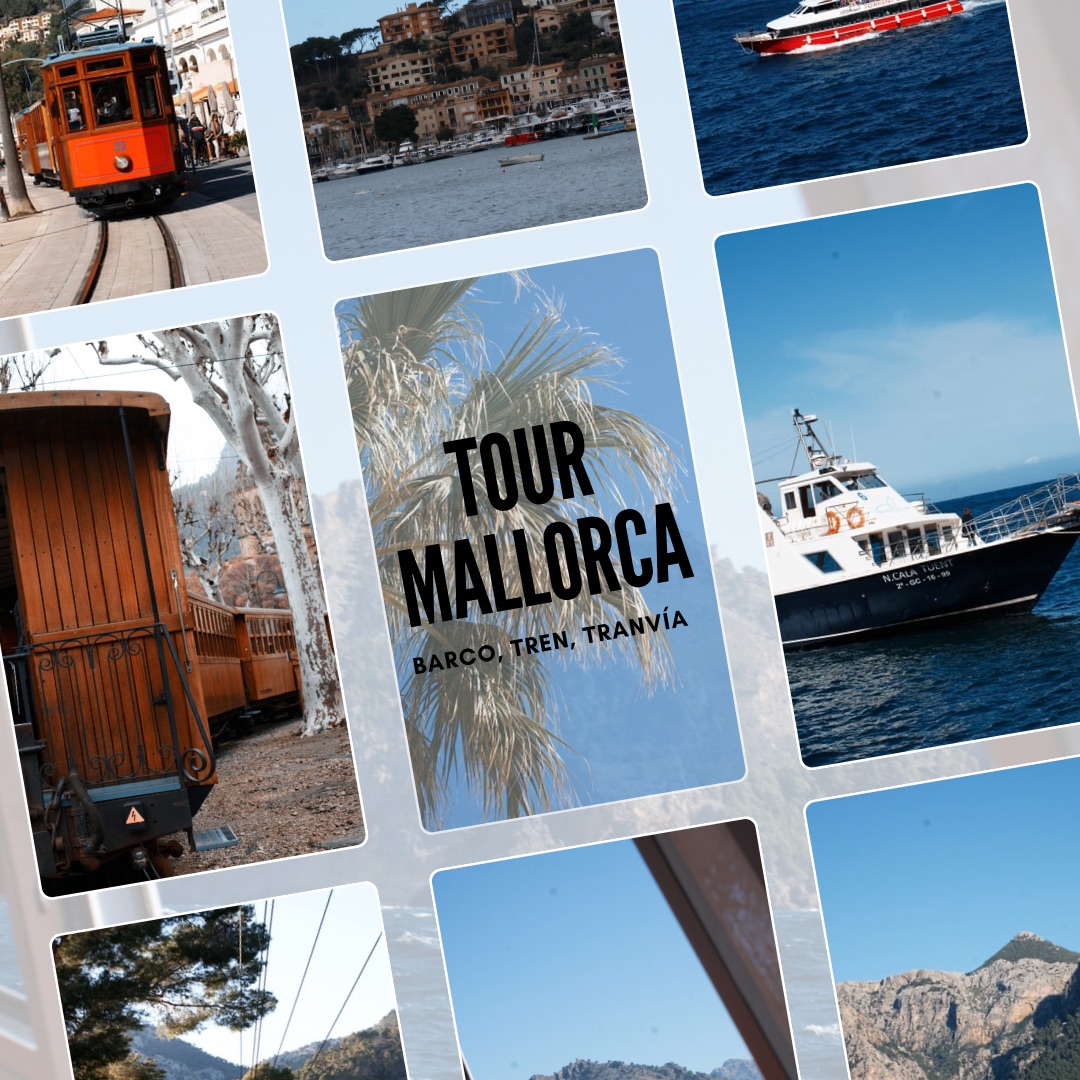 Island Hopping Tour in Portals Nous photo 4