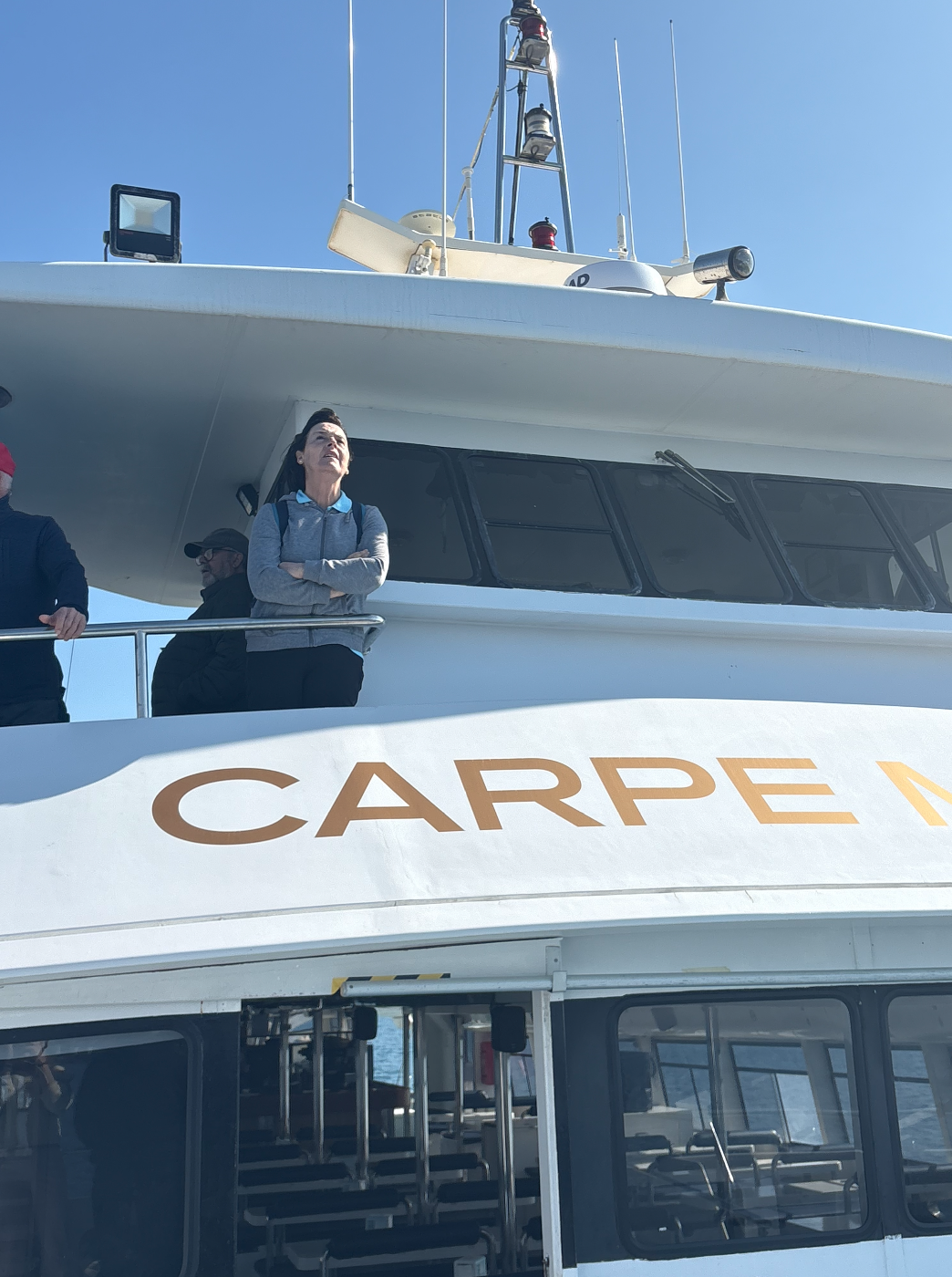 Dolphin Watching in Cala Pi photo 4
