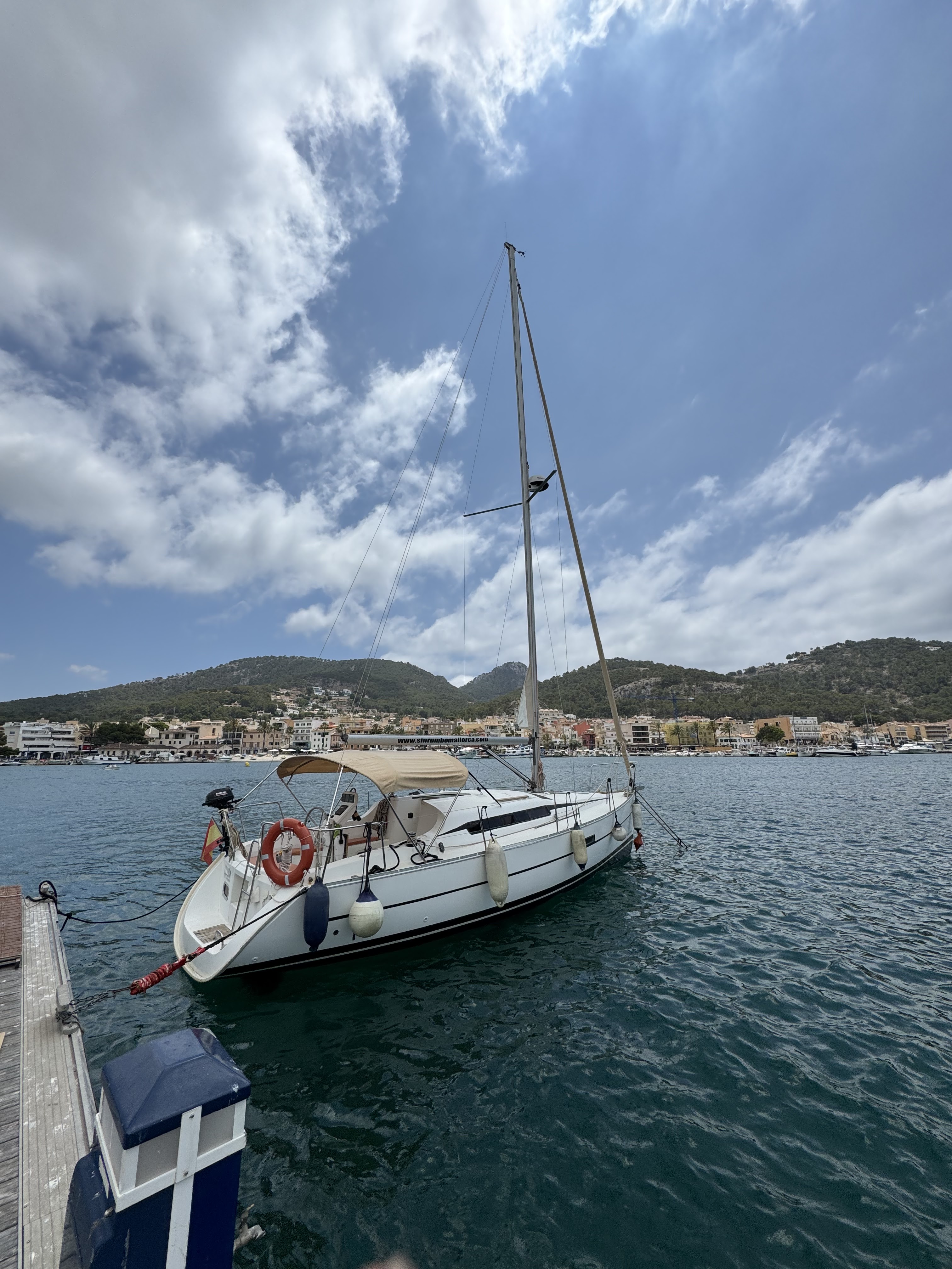 Dolphin Watching in Port d'Andratx photo 5