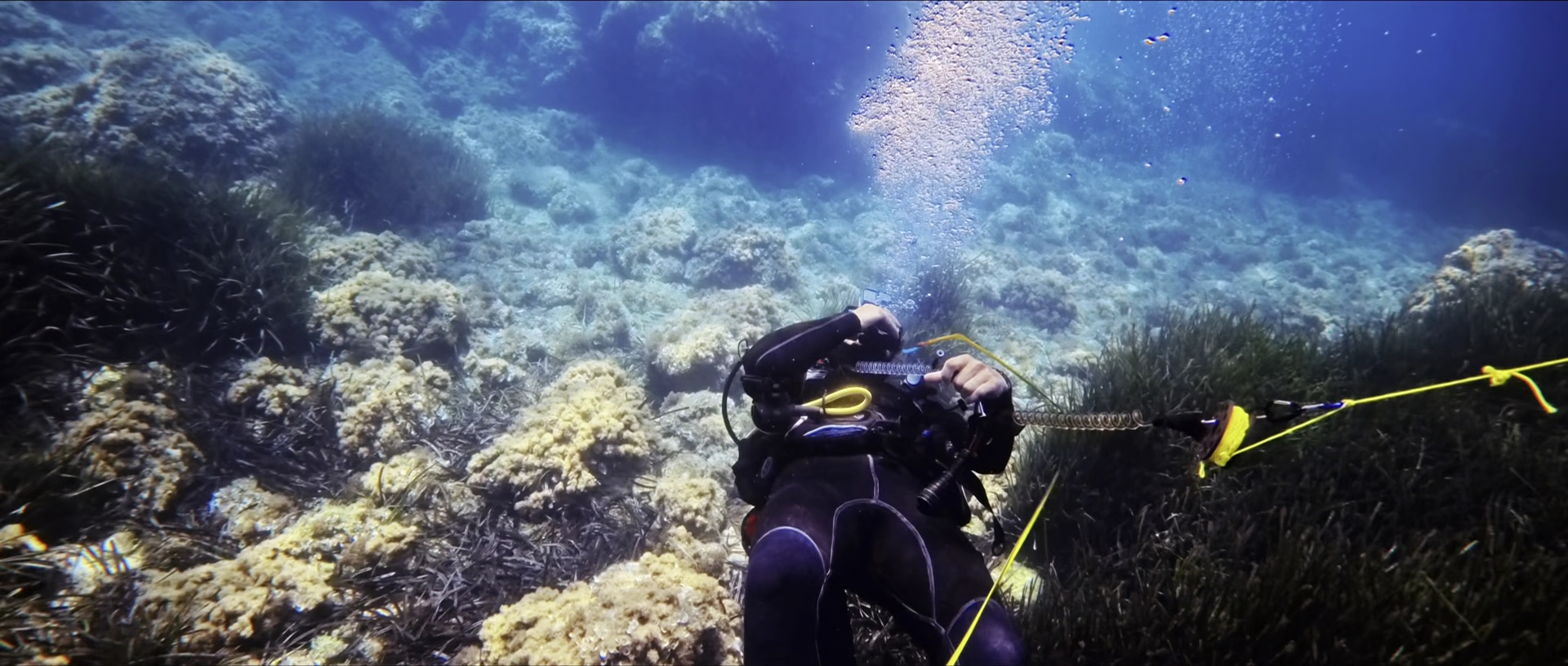Scuba Courses in Palma photo 2