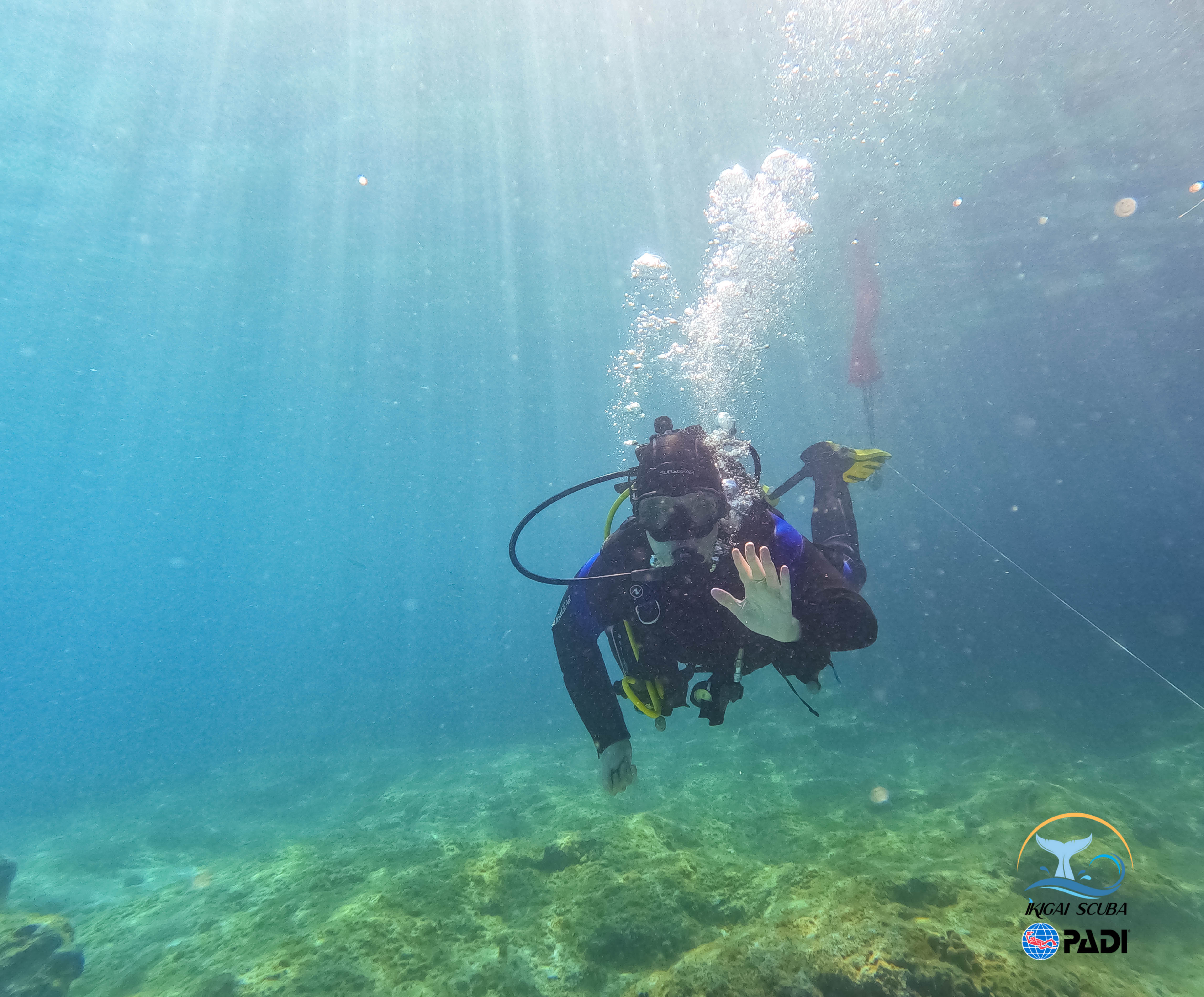 Scuba Courses in Palma photo 4