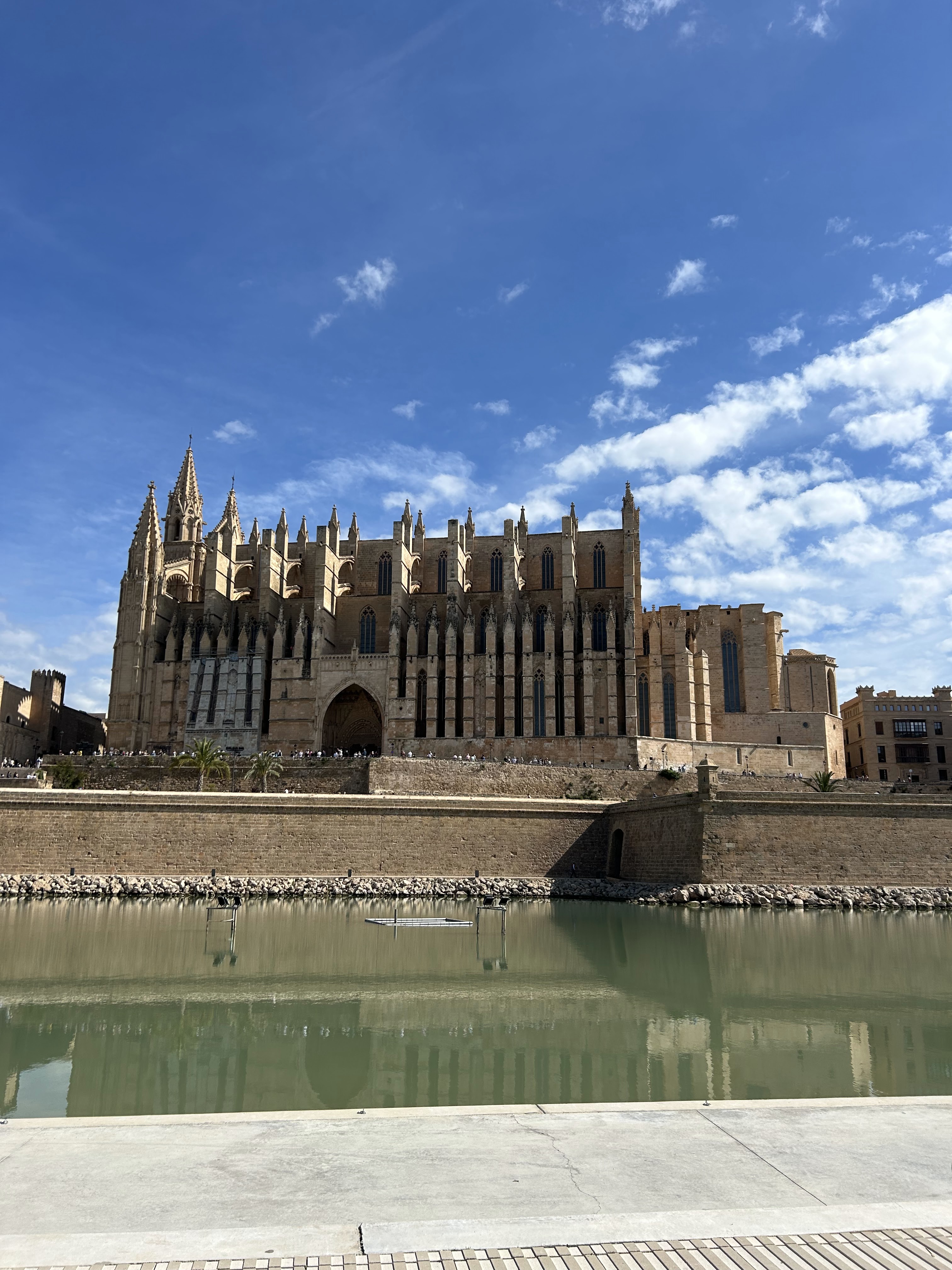 Mountain Bike Rental in Palma Nova photo 2