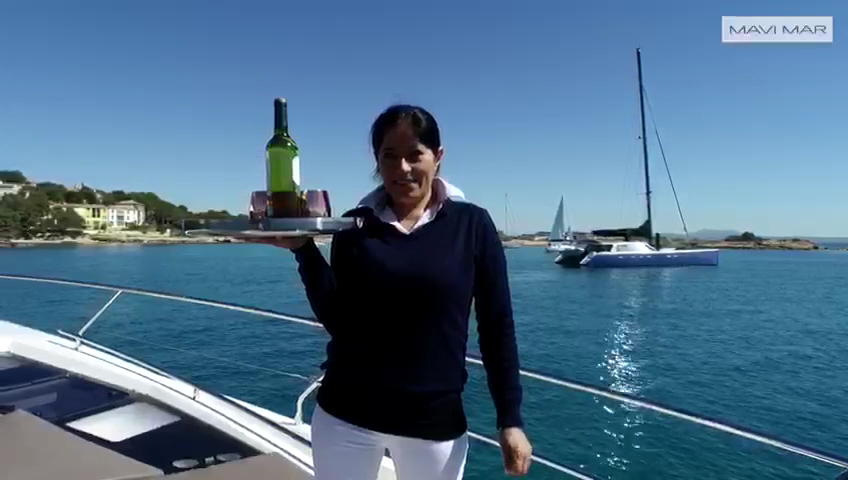 Dolphin Watching in Palma photo 4