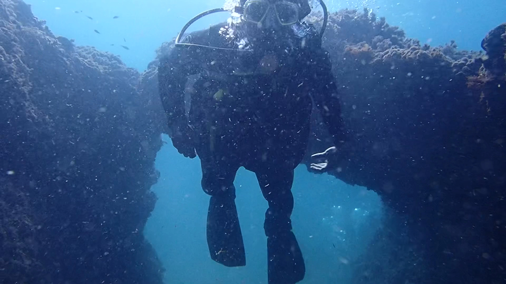 Snorkeling in Arenal photo 3