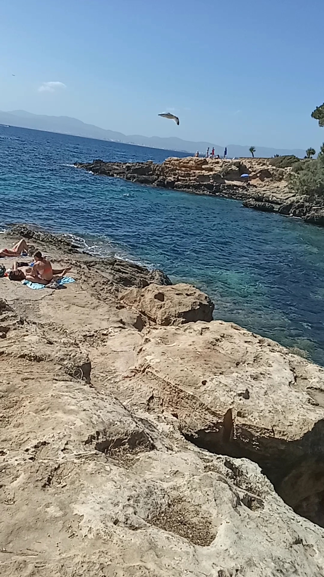 Snorkeling in Cala Blava photo 3