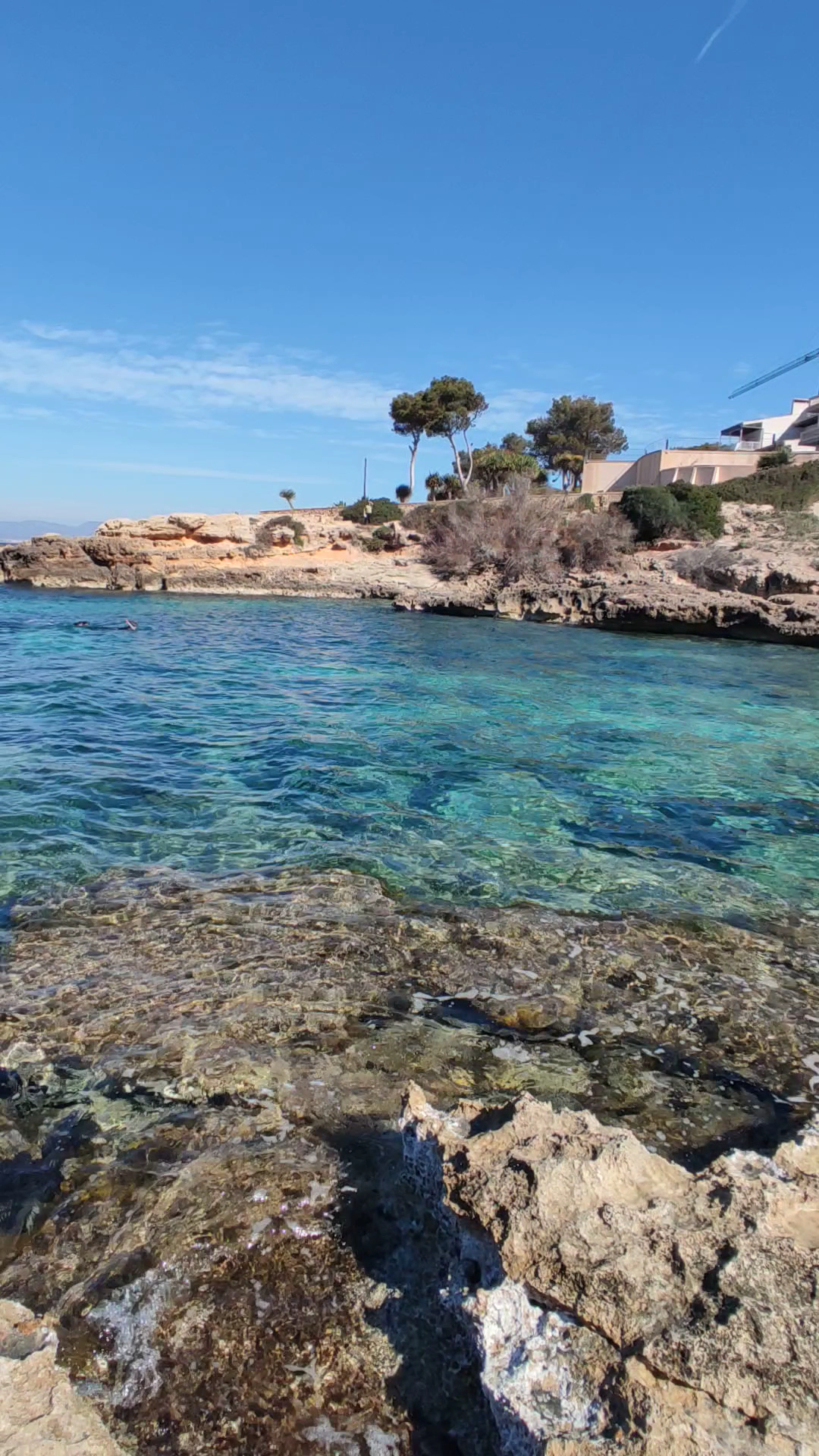 Snorkeling in Cala Blava photo 5