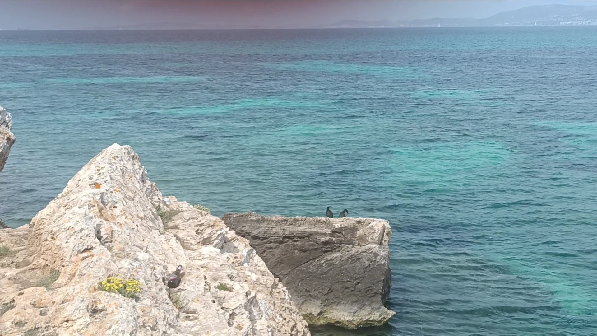 Diving & Snorkeling in Cala Blava photo 3