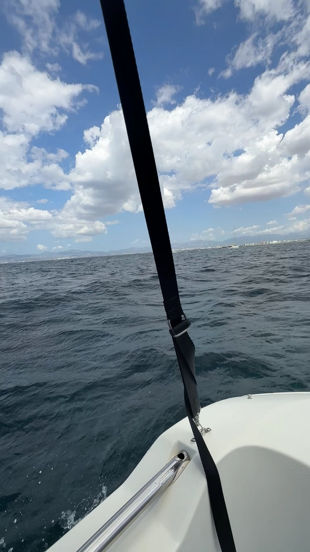 Dolphin Watching in C'an Pastilla photo 3
