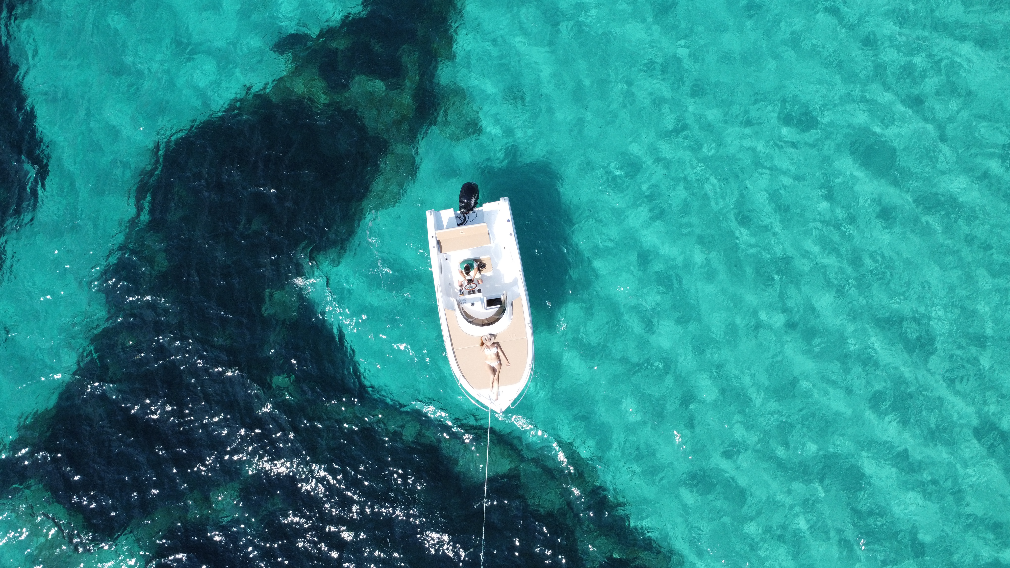 Dolphin Watching in Portals Nous