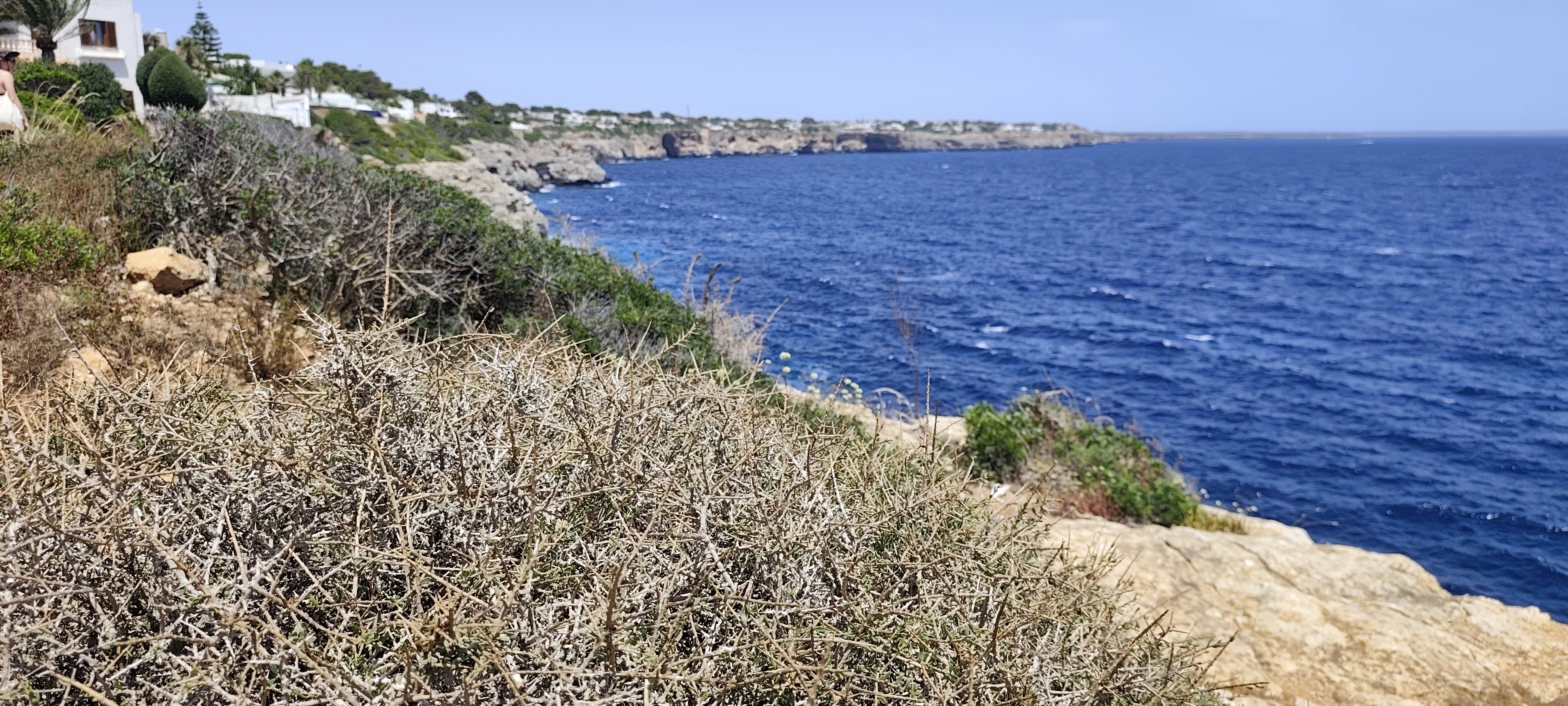 Day Spa in Cala Pi photo 2