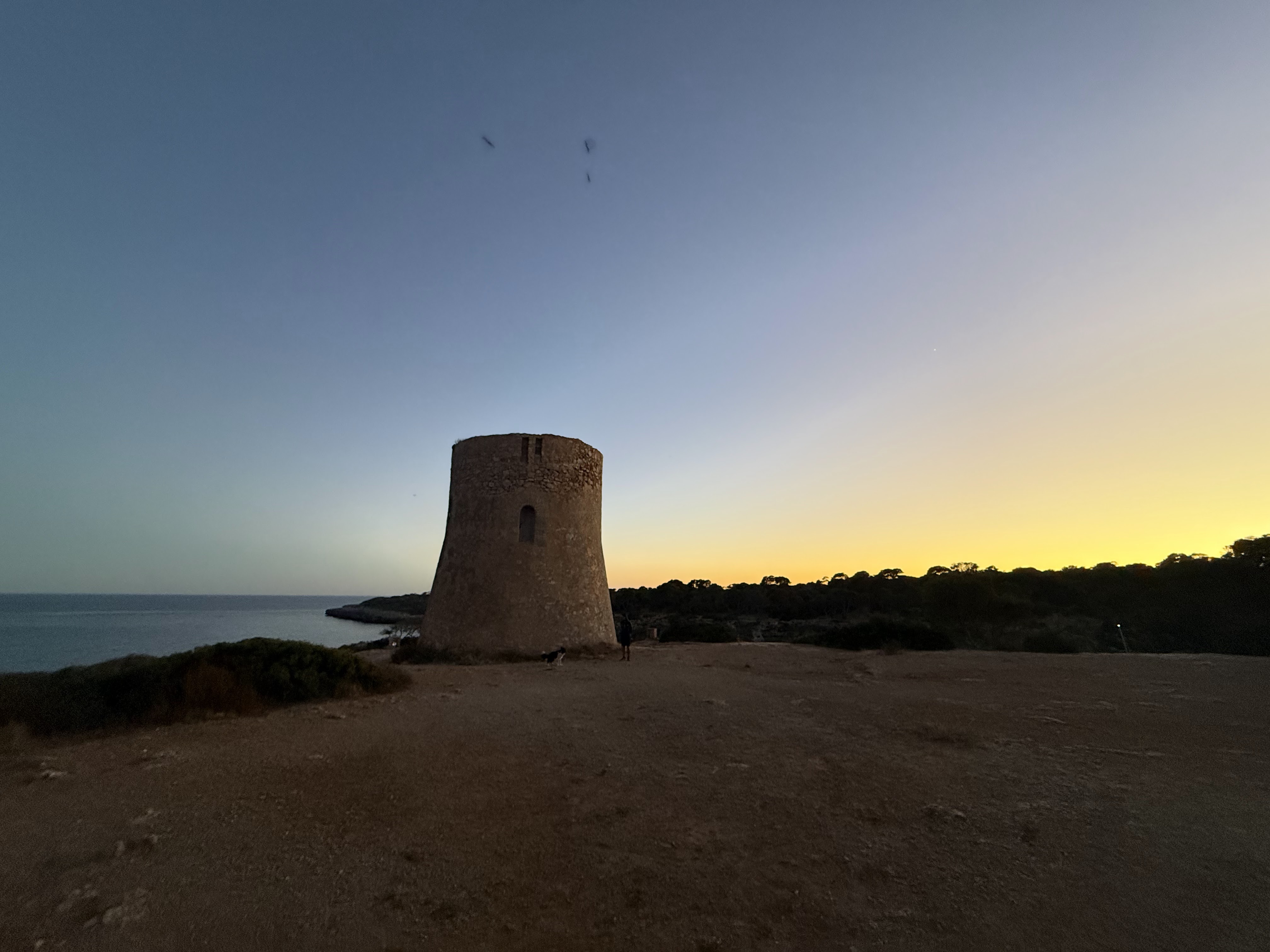 Sunset Cruise in Cala Pi photo 2