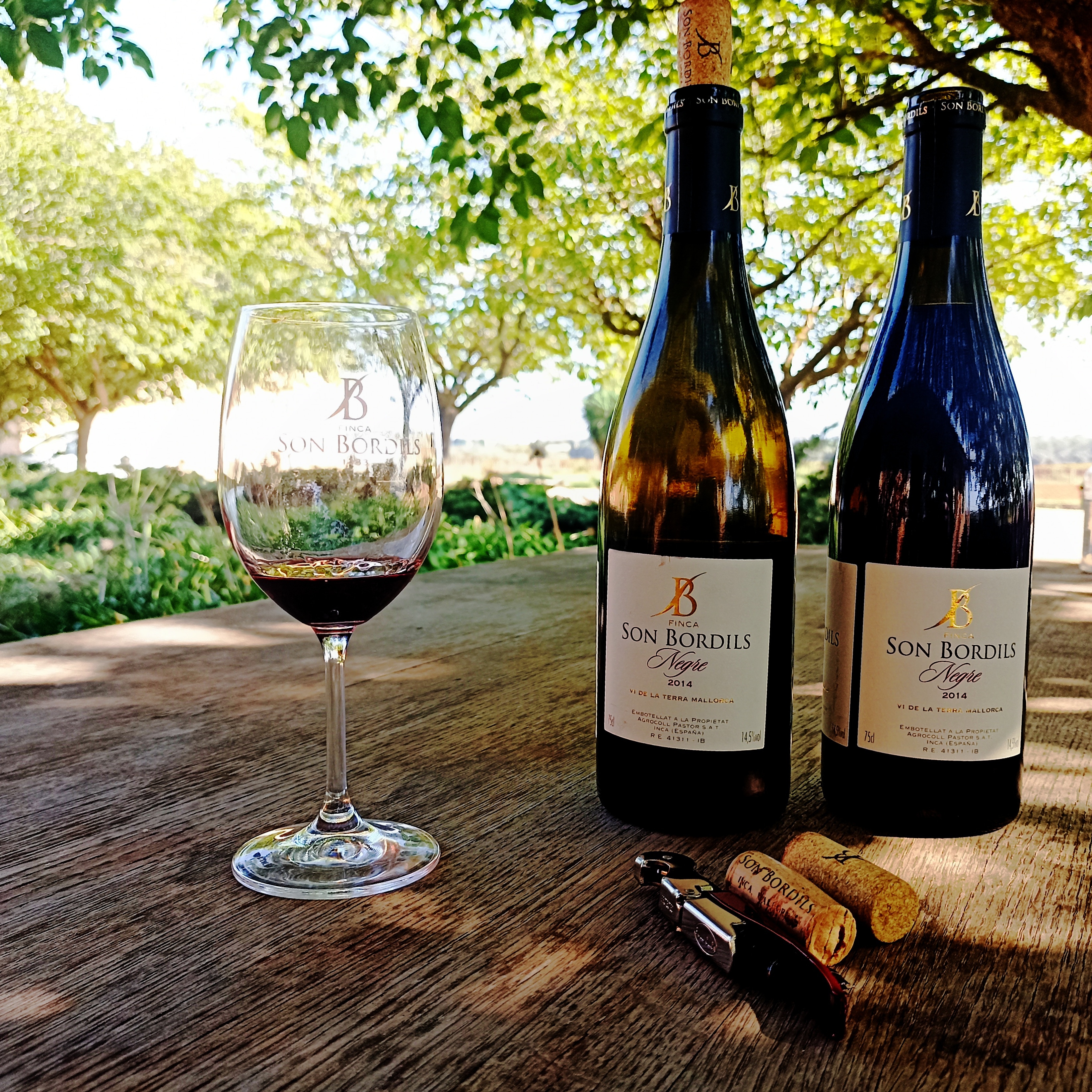 Wine Tasting in Cala Vinyes photo 5