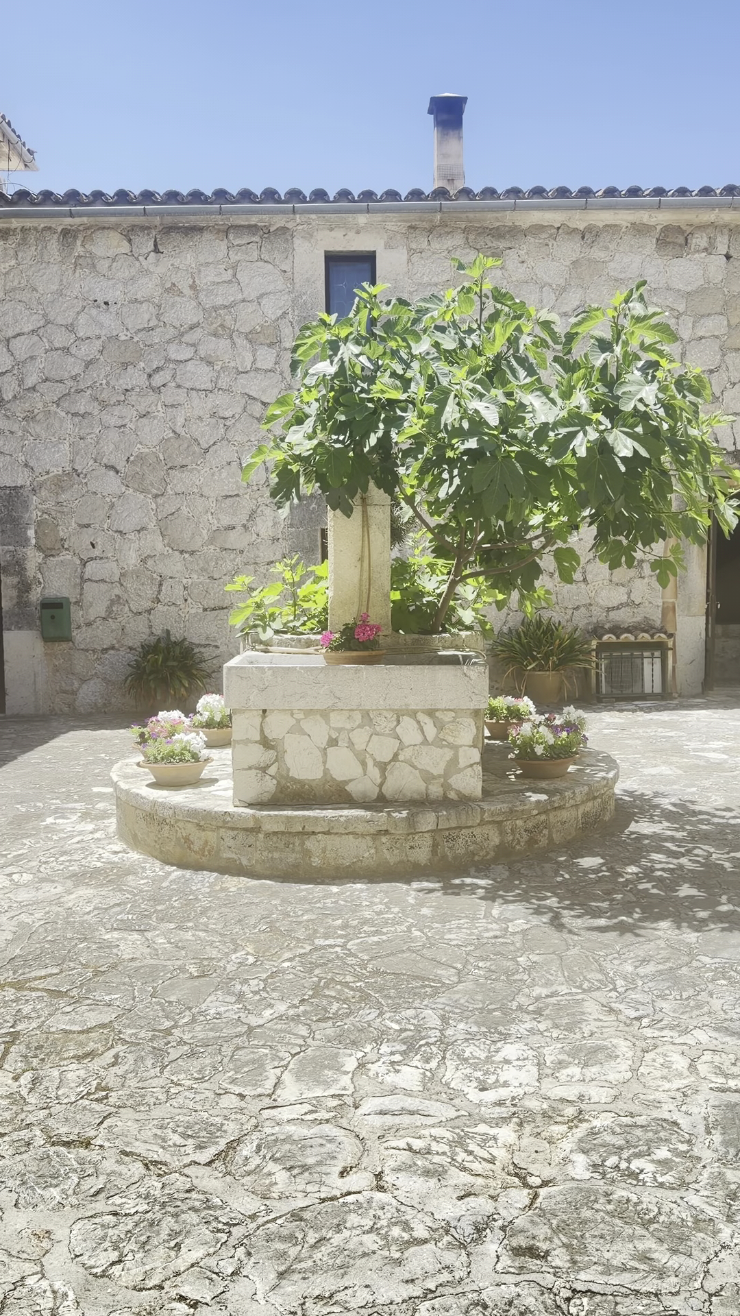 Spa & Massage in Deià photo 2