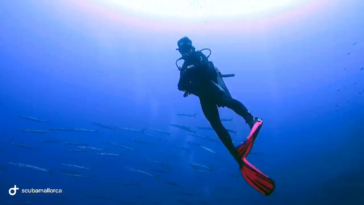 Freediving in Cala San Vicente photo 2