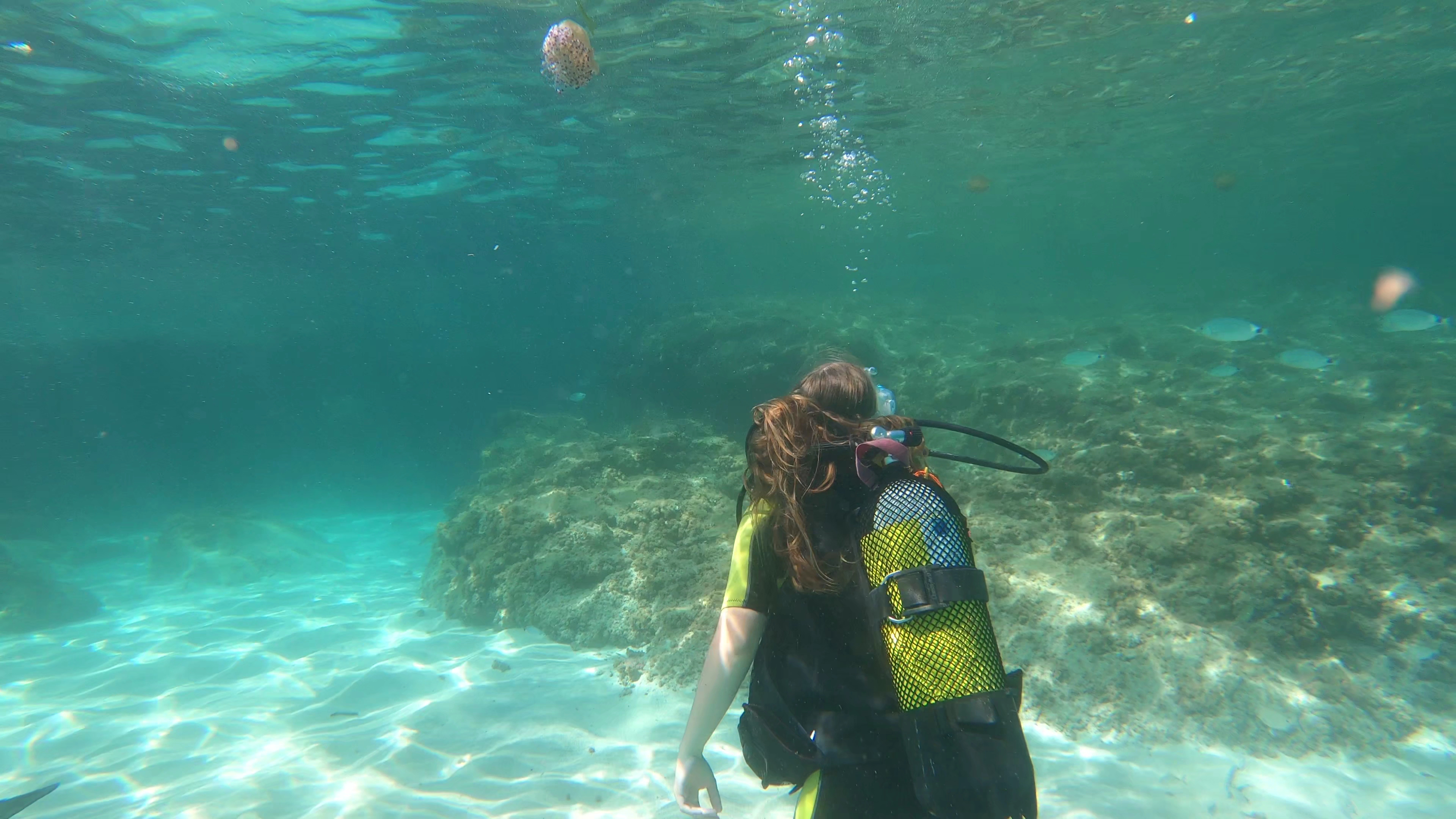 Scuba Courses in Can Picafort photo 3