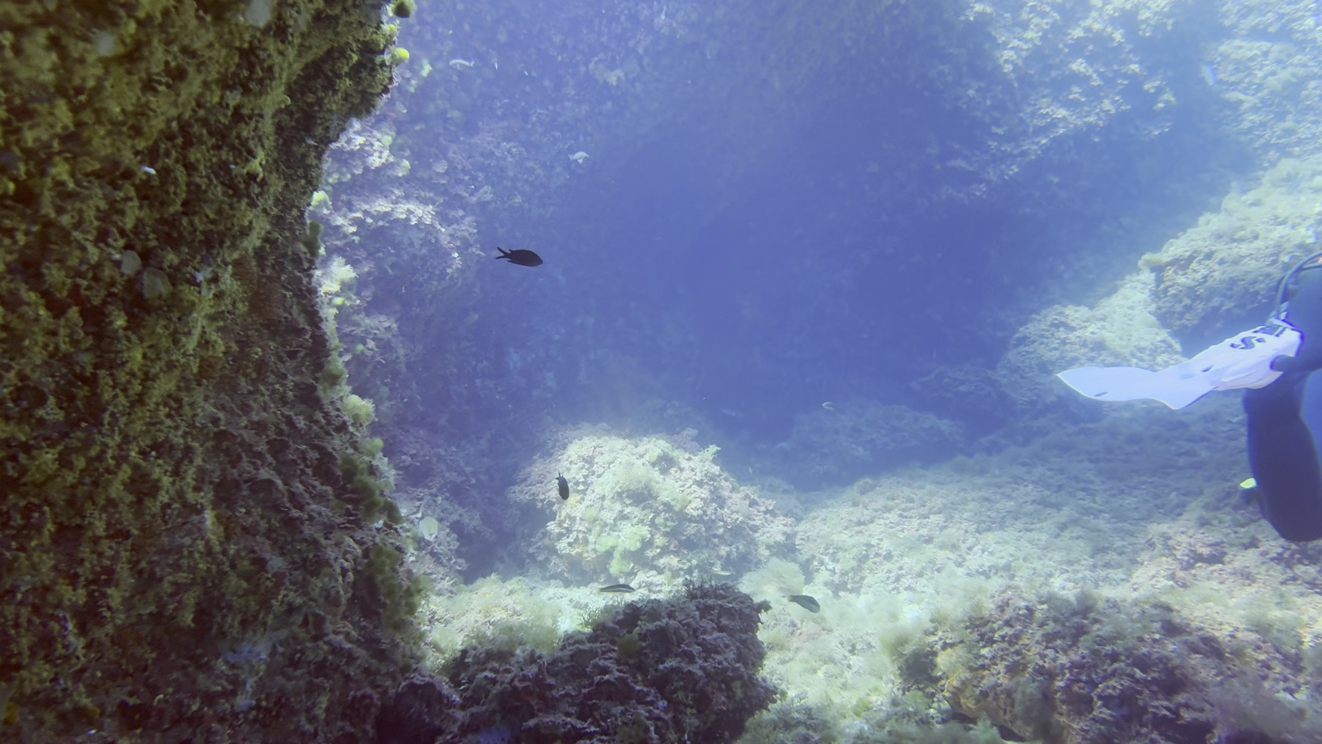 Freediving in Can Picafort photo 3