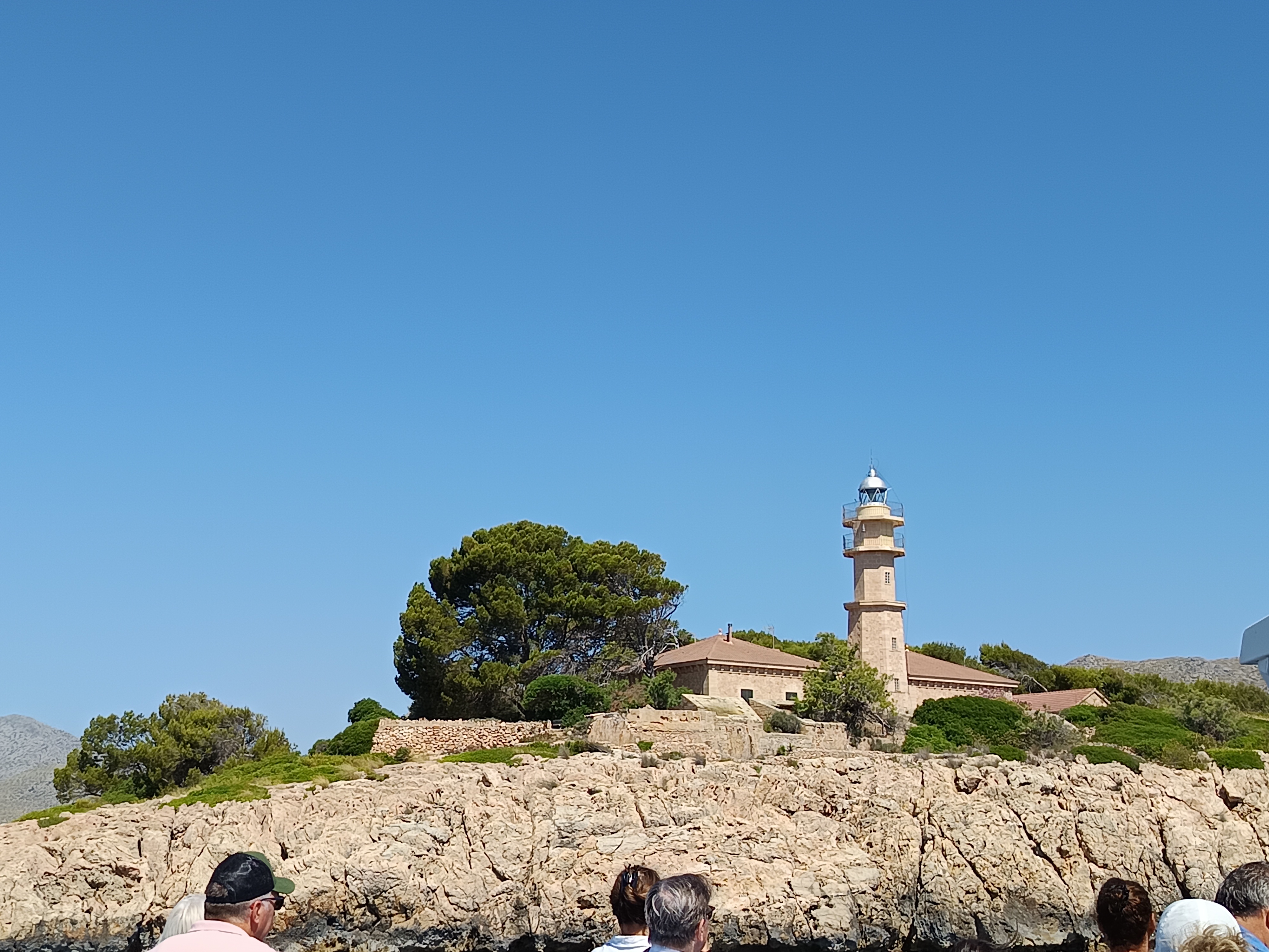 Dolphin Watching in Pollença photo 2