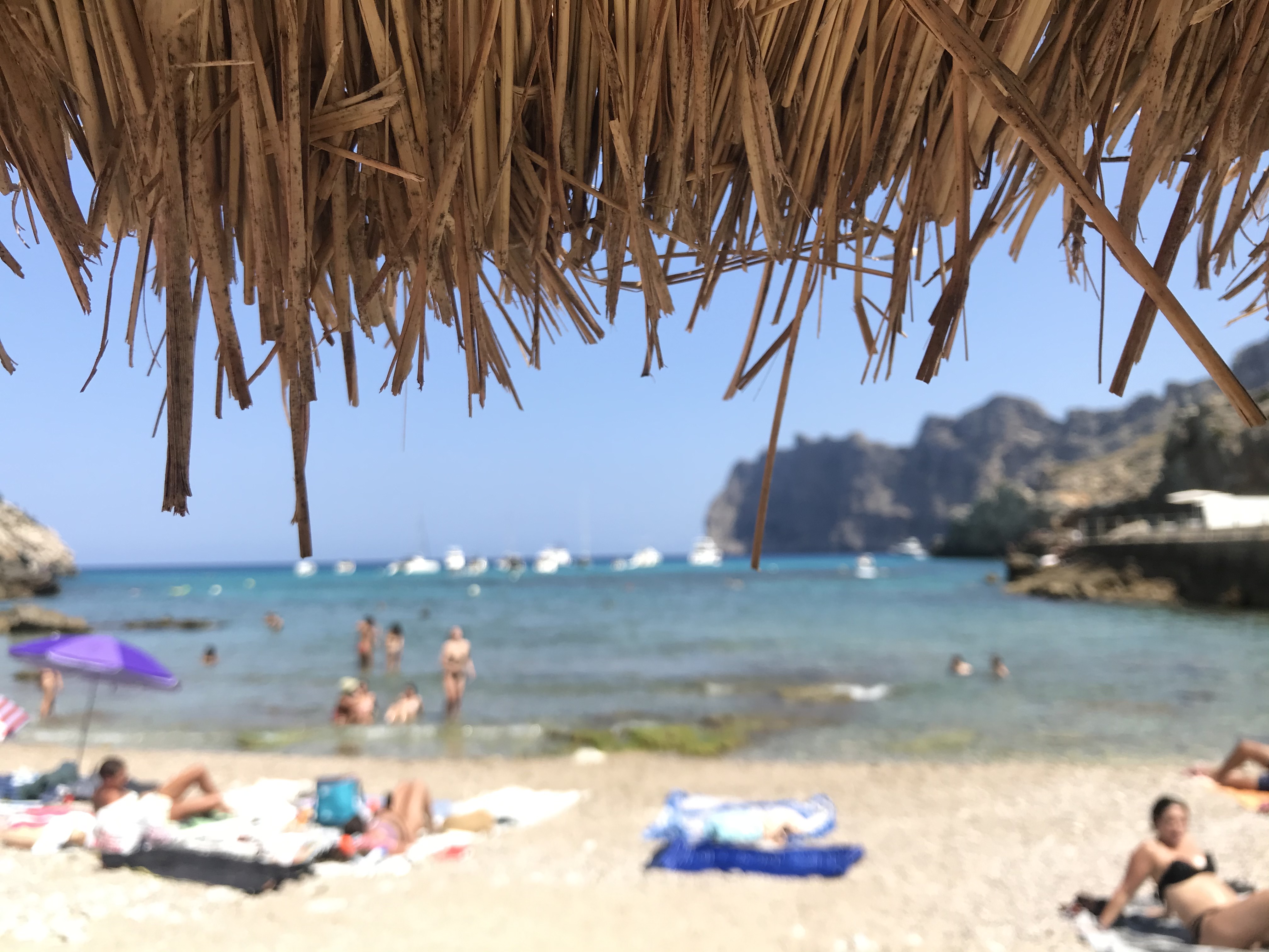 Snorkeling in Cala San Vicente photo 4