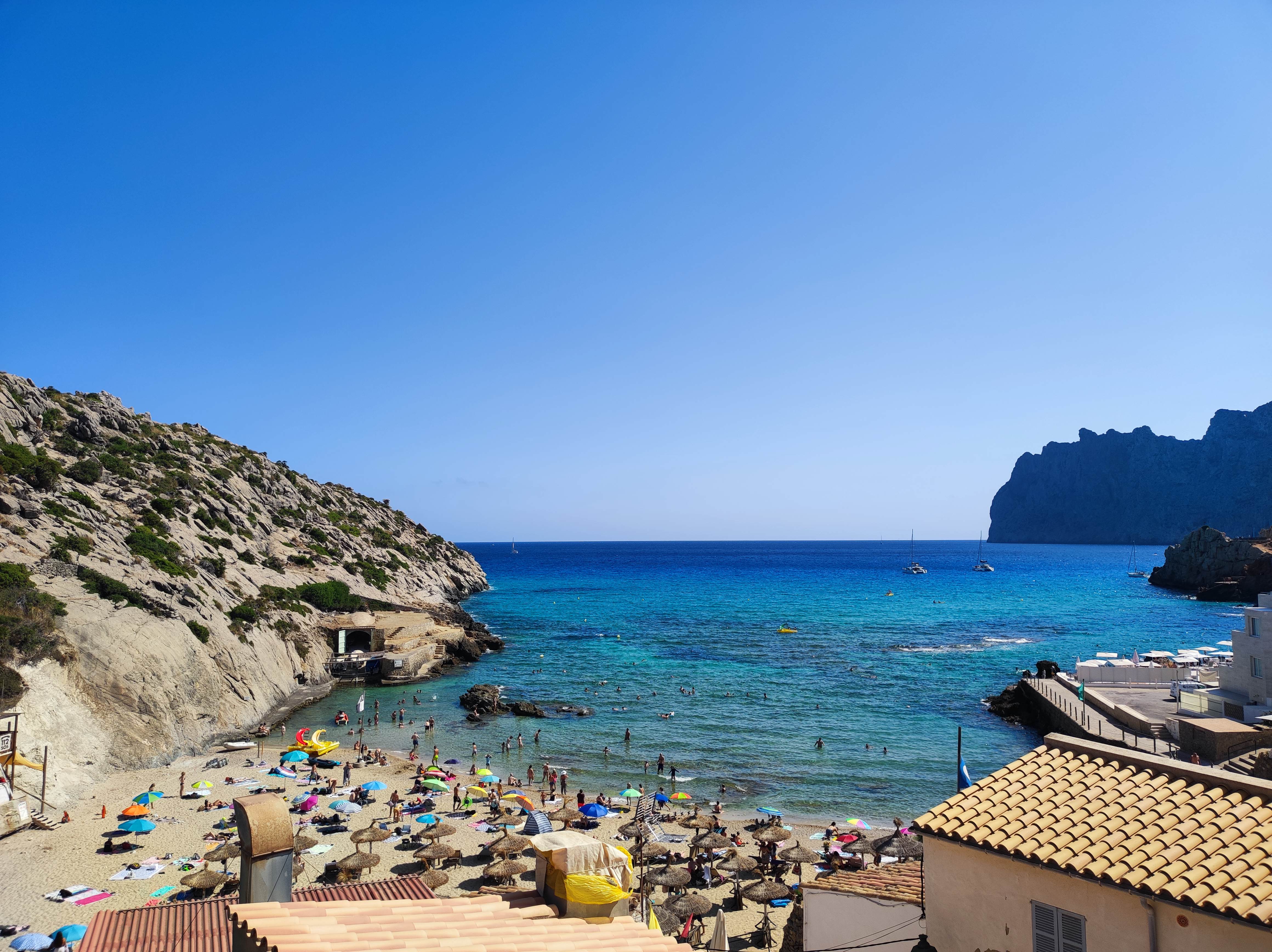 Dolphin Watching in Cala San Vicente photo 2