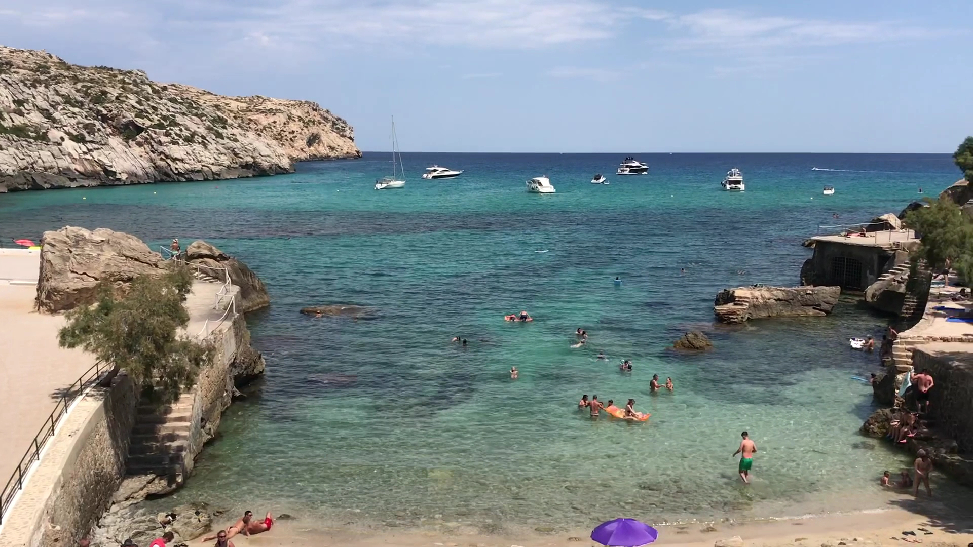 Dolphin Watching in Cala San Vicente photo 4