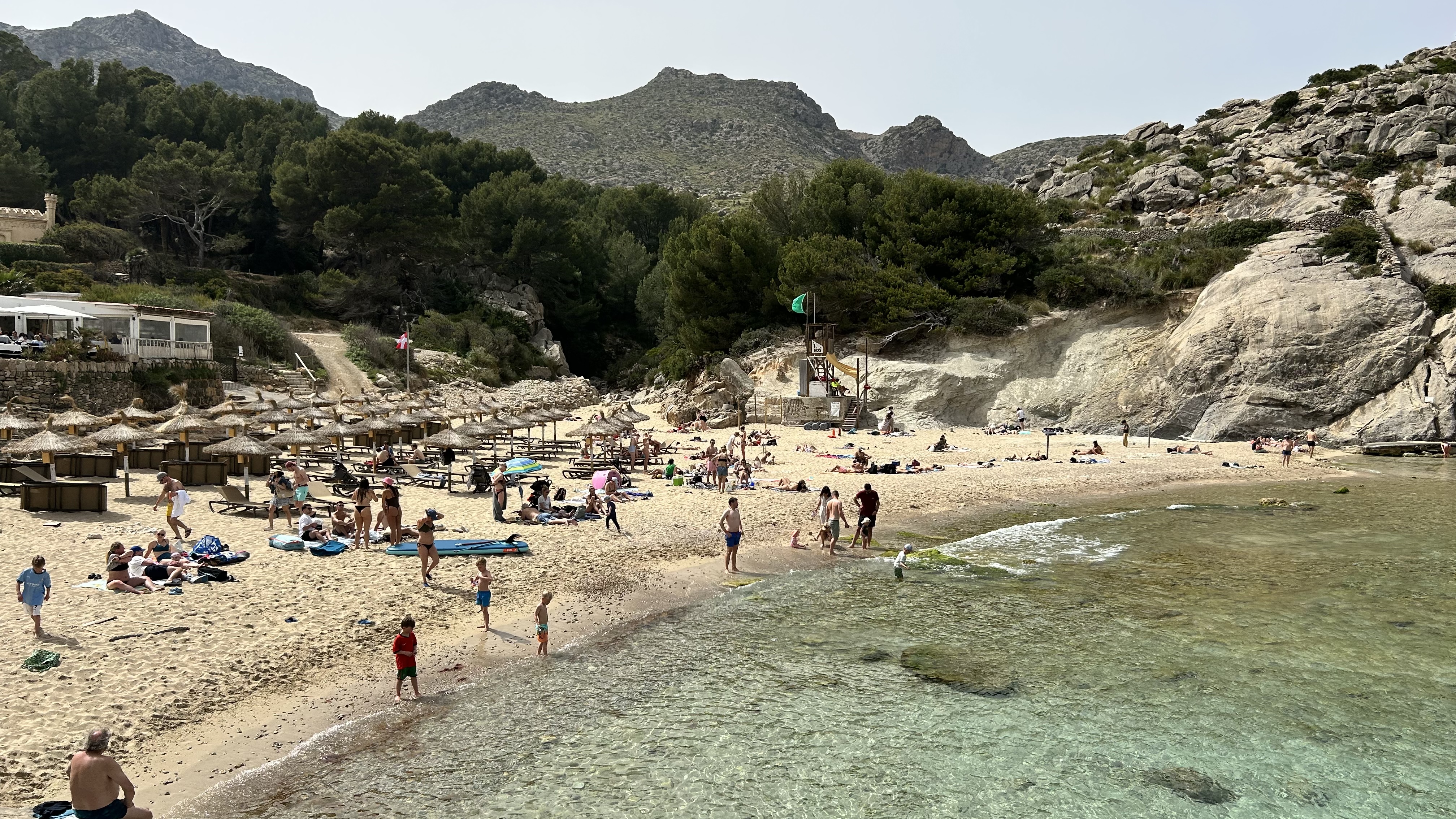 Dolphin Watching in Cala San Vicente photo 5
