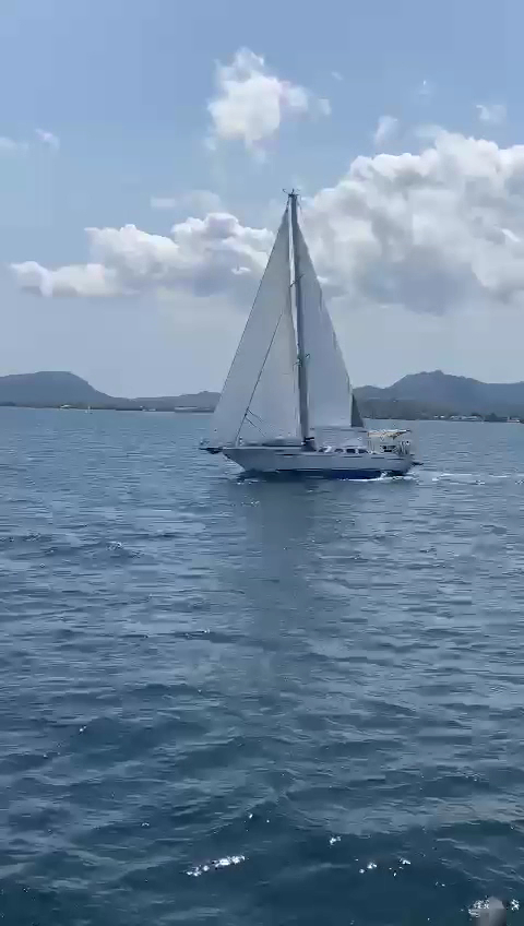 Champagne Cruises in Pollença photo 3