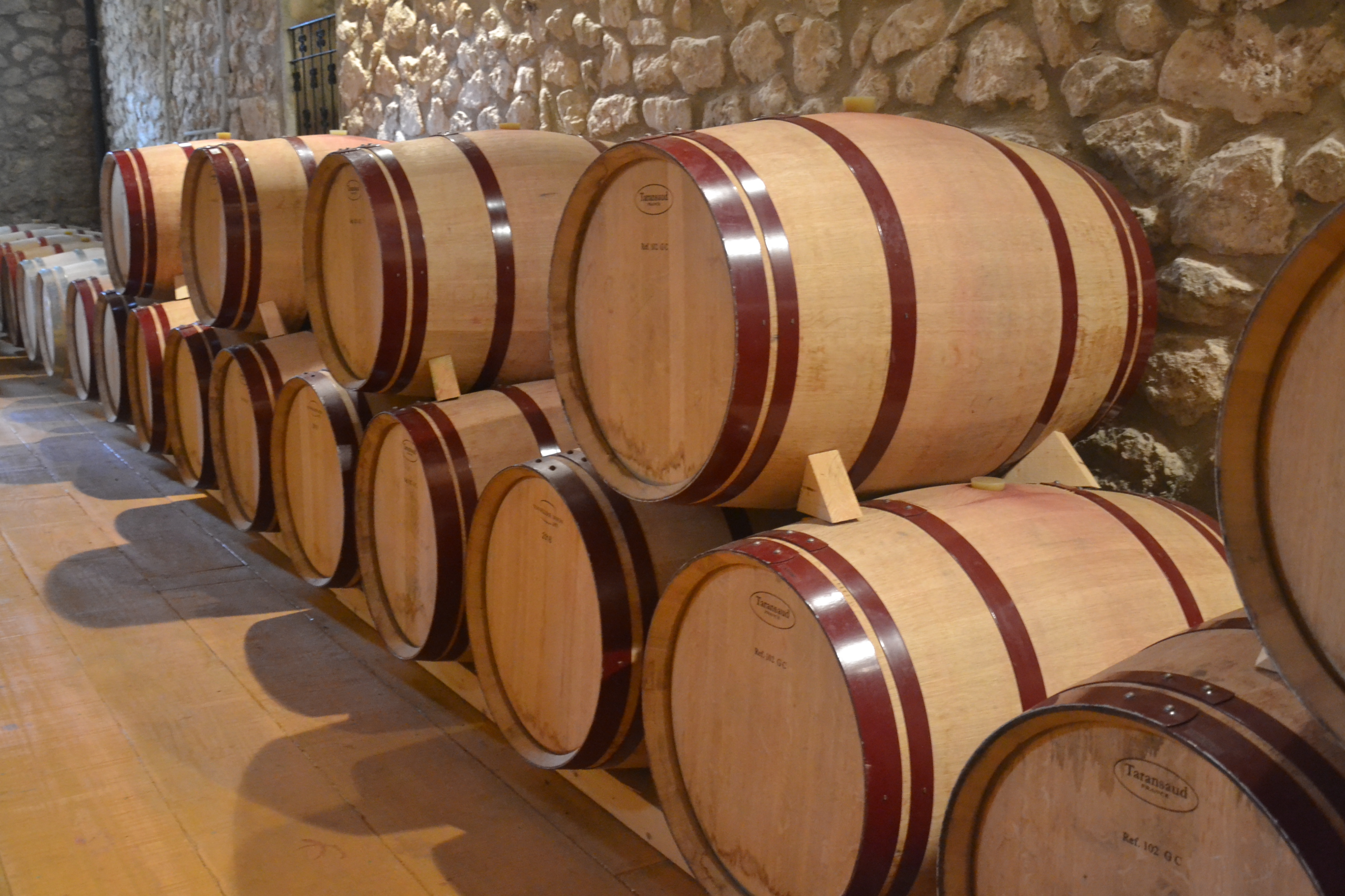 Wine Tasting in Pollença photo 4