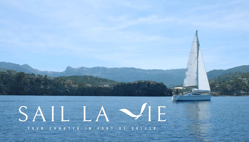 Whale Watching in Port de Sóller