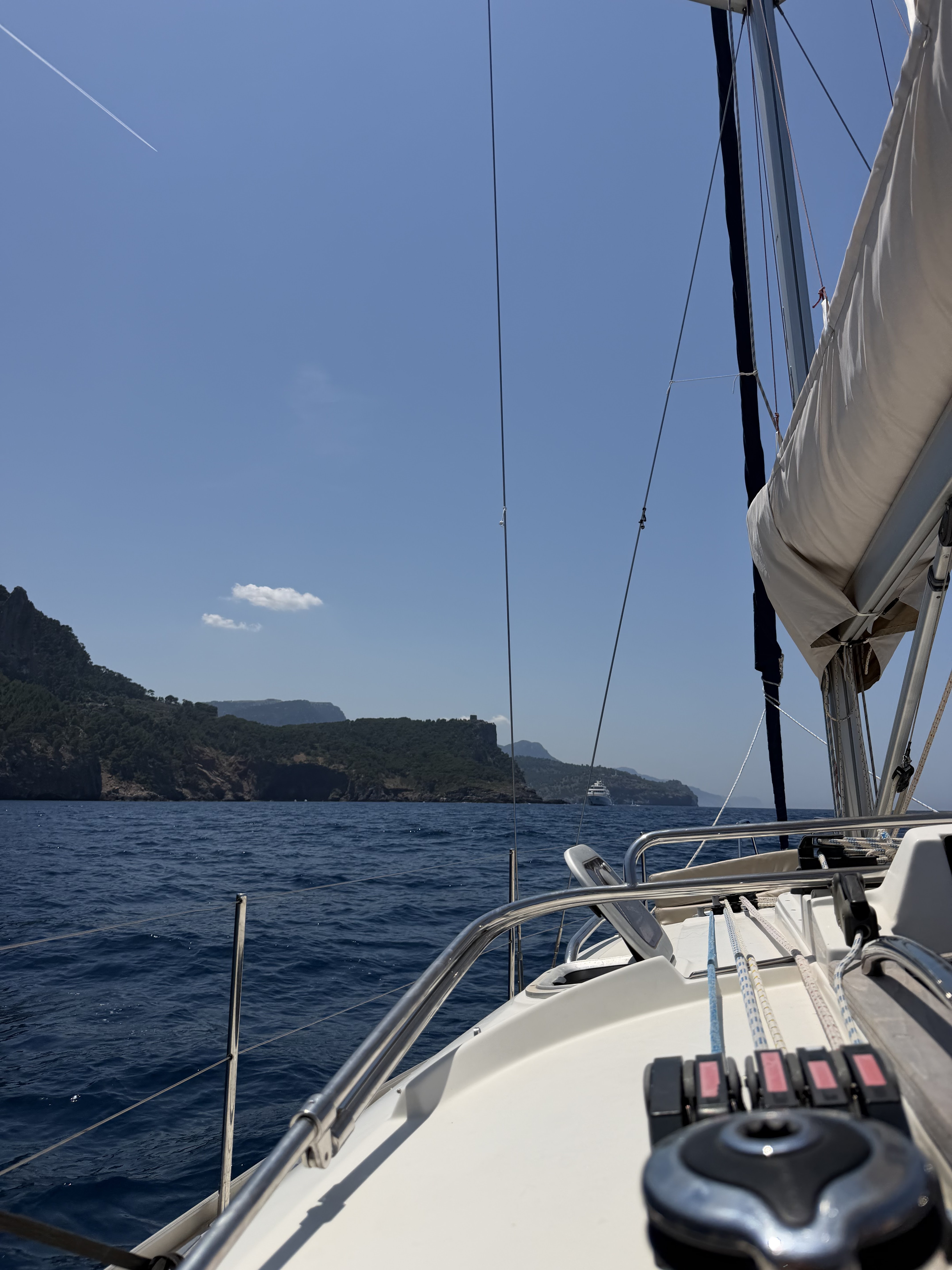Whale Watching in Port de Sóller photo 2