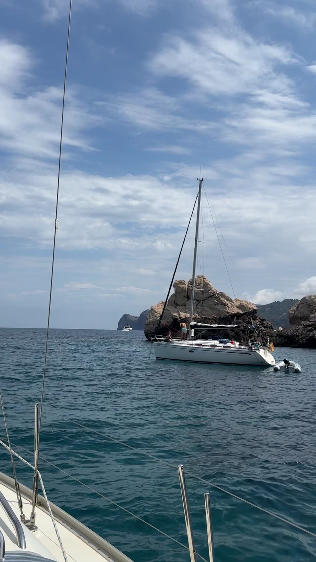 Whale Watching in Port de Sóller photo 3