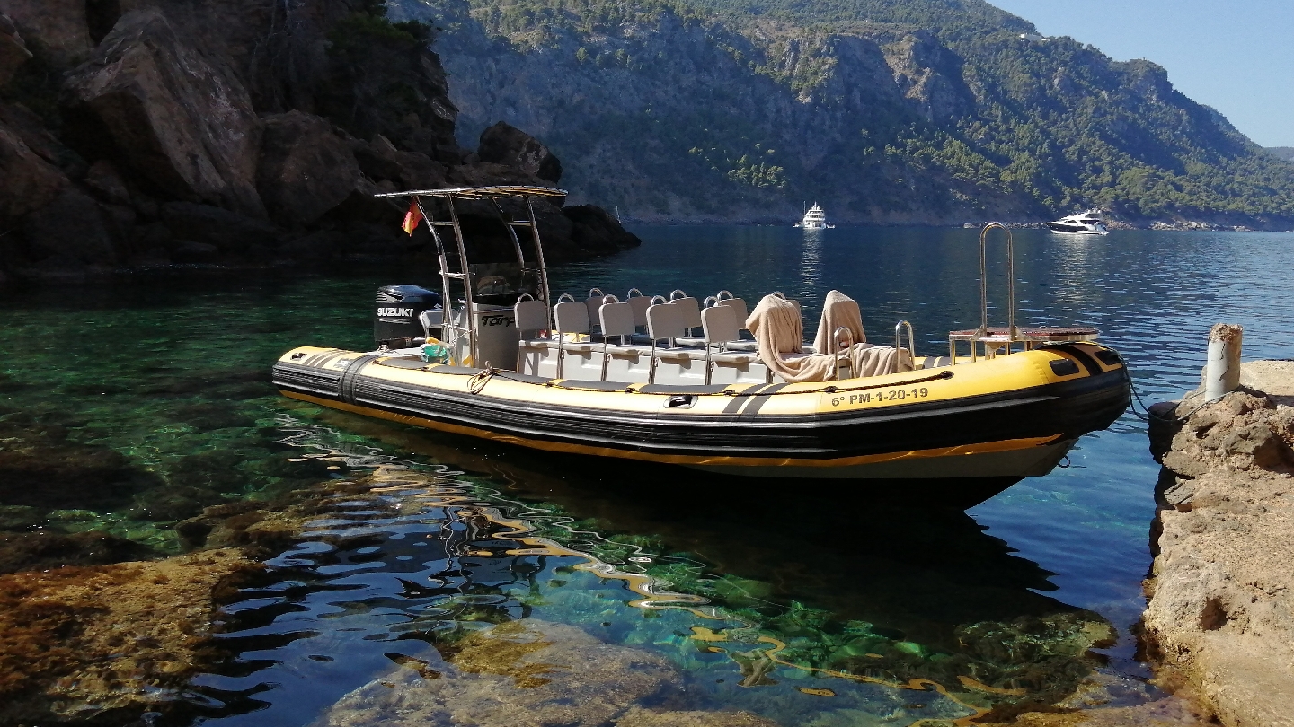 Whale Watching in Port de Sóller photo 5