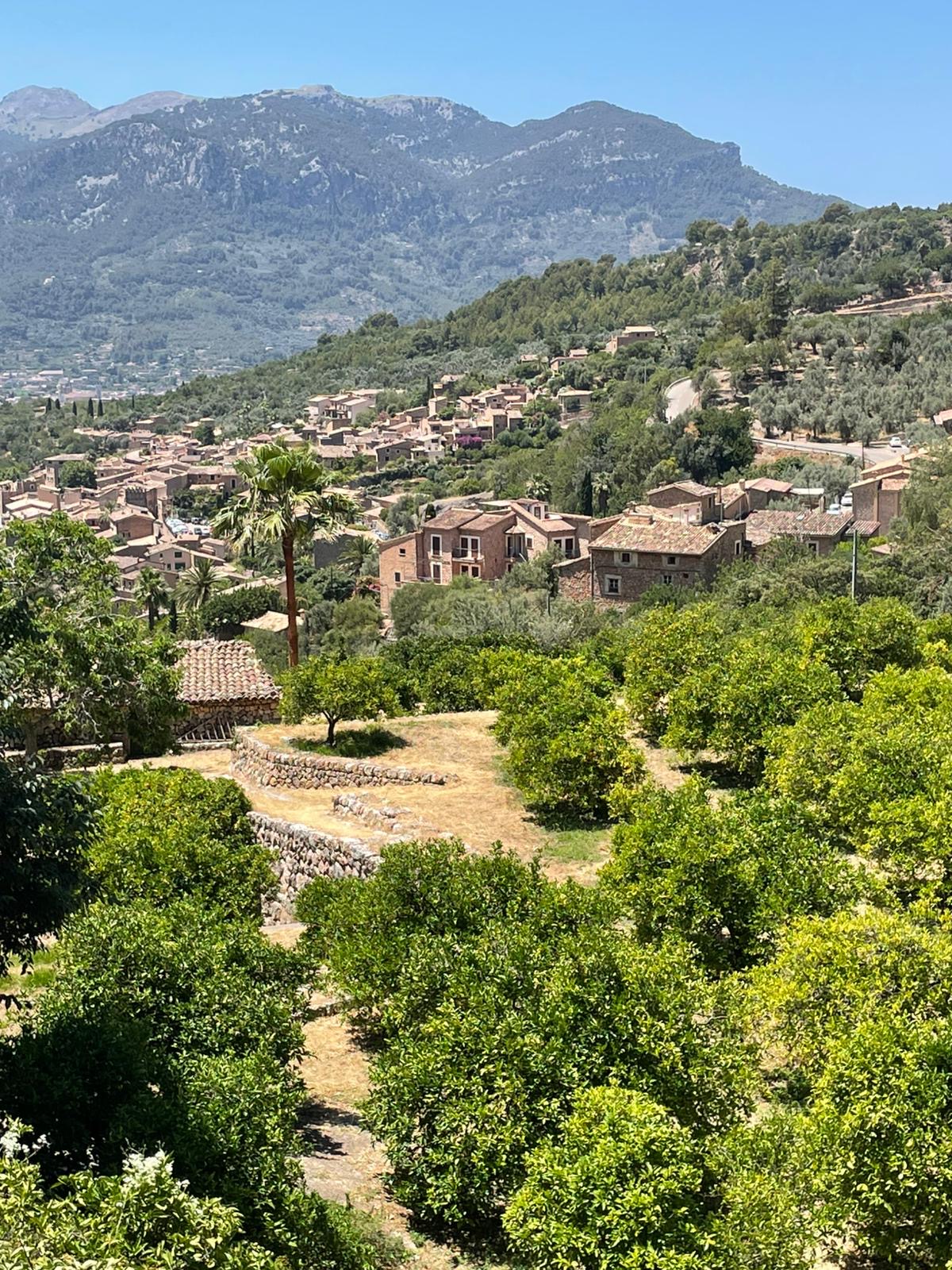 Hiking Tours in Port de Sóller photo 2